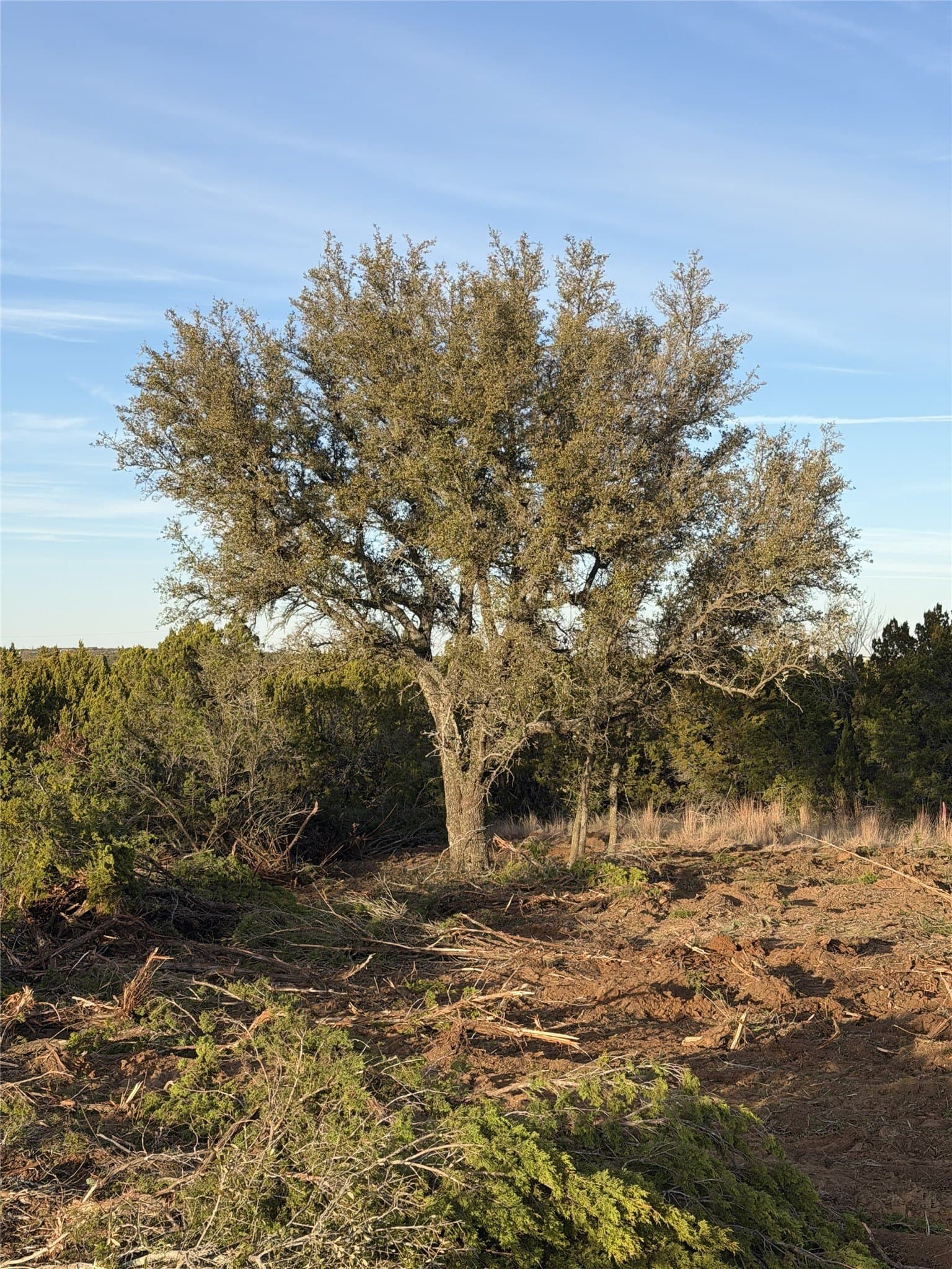 1.99 acres in Taylor County - photo 13