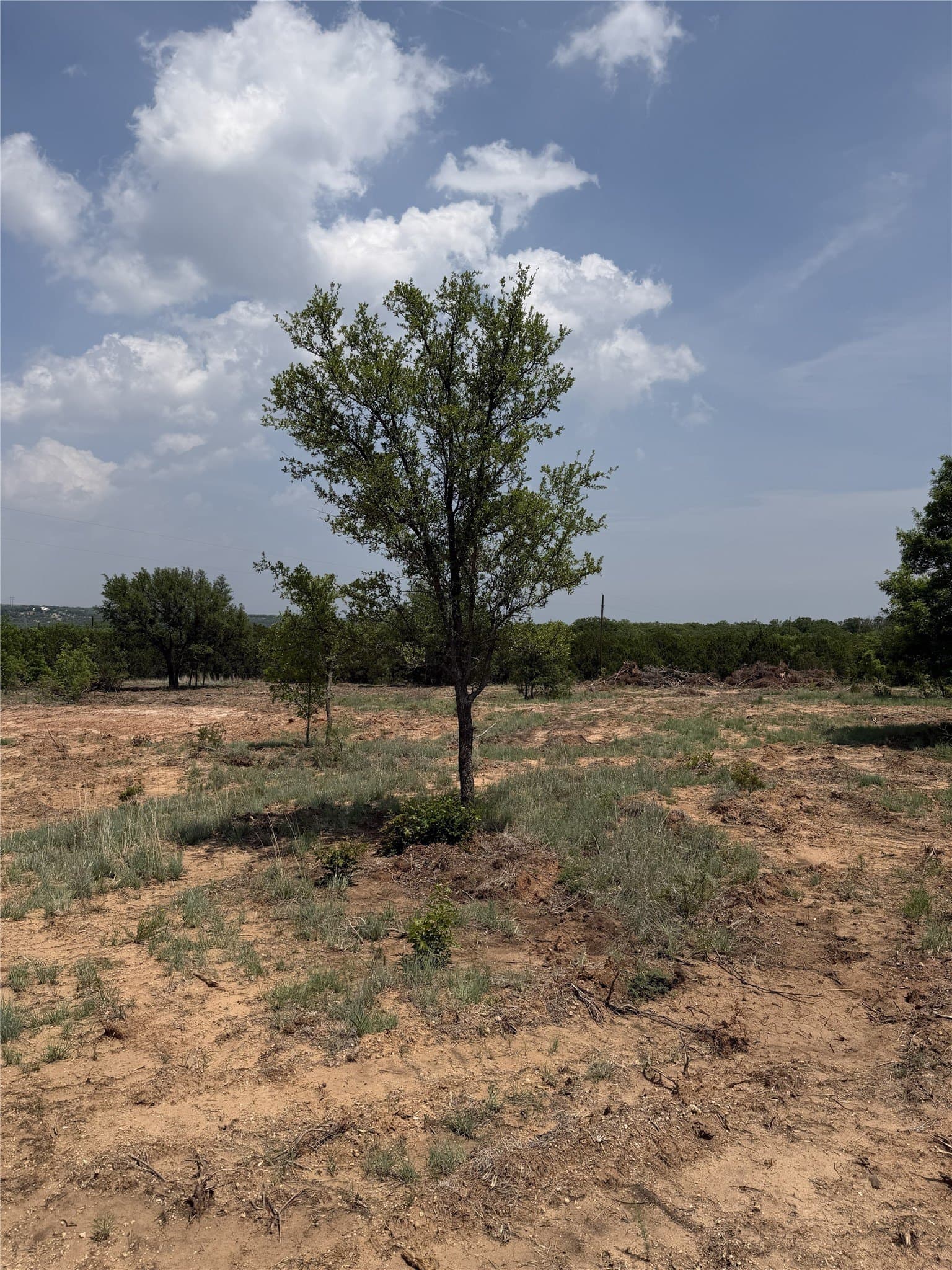 1.99 acres in Taylor County - photo 11