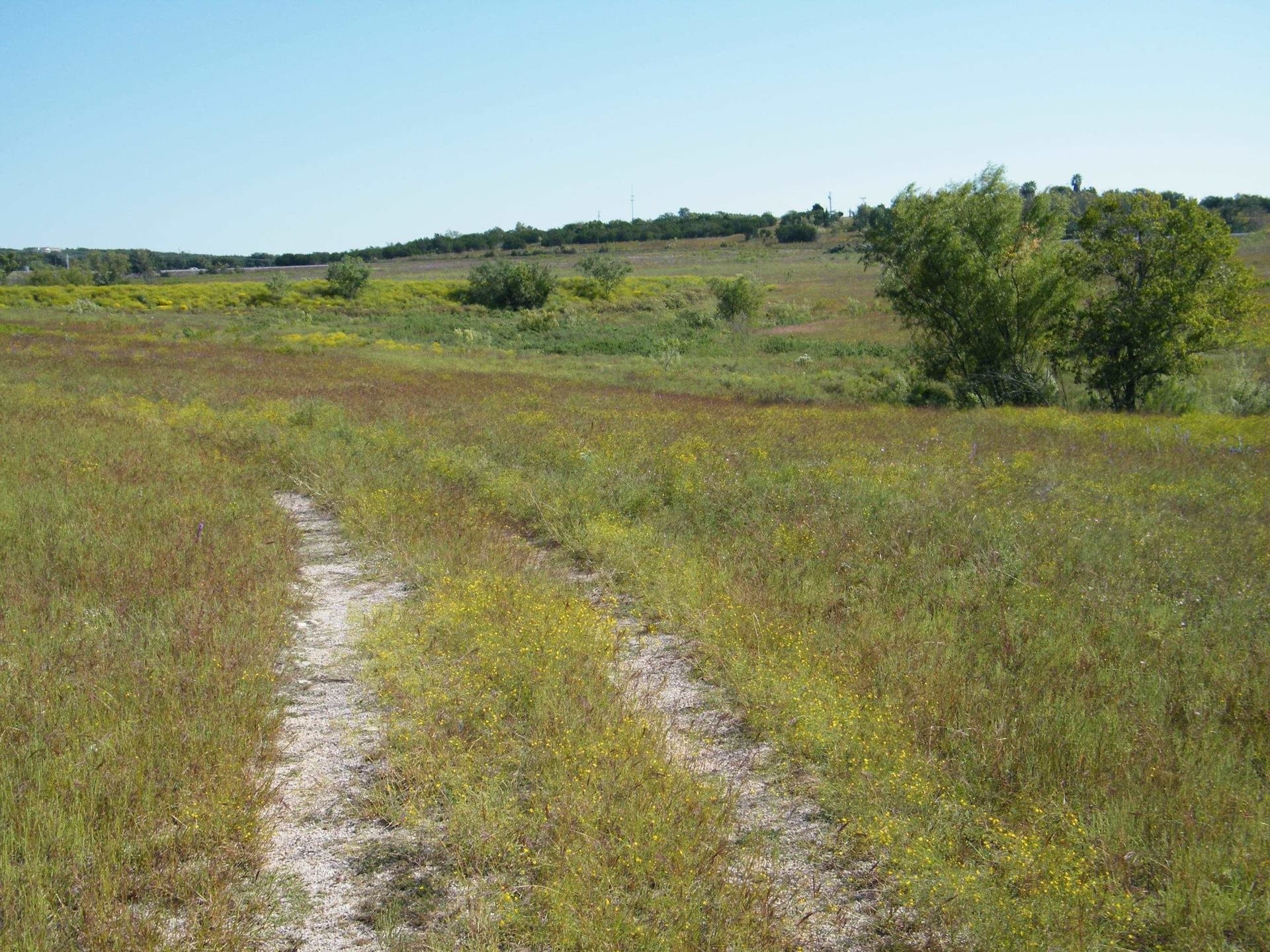 40 acres in Burnet County featured view