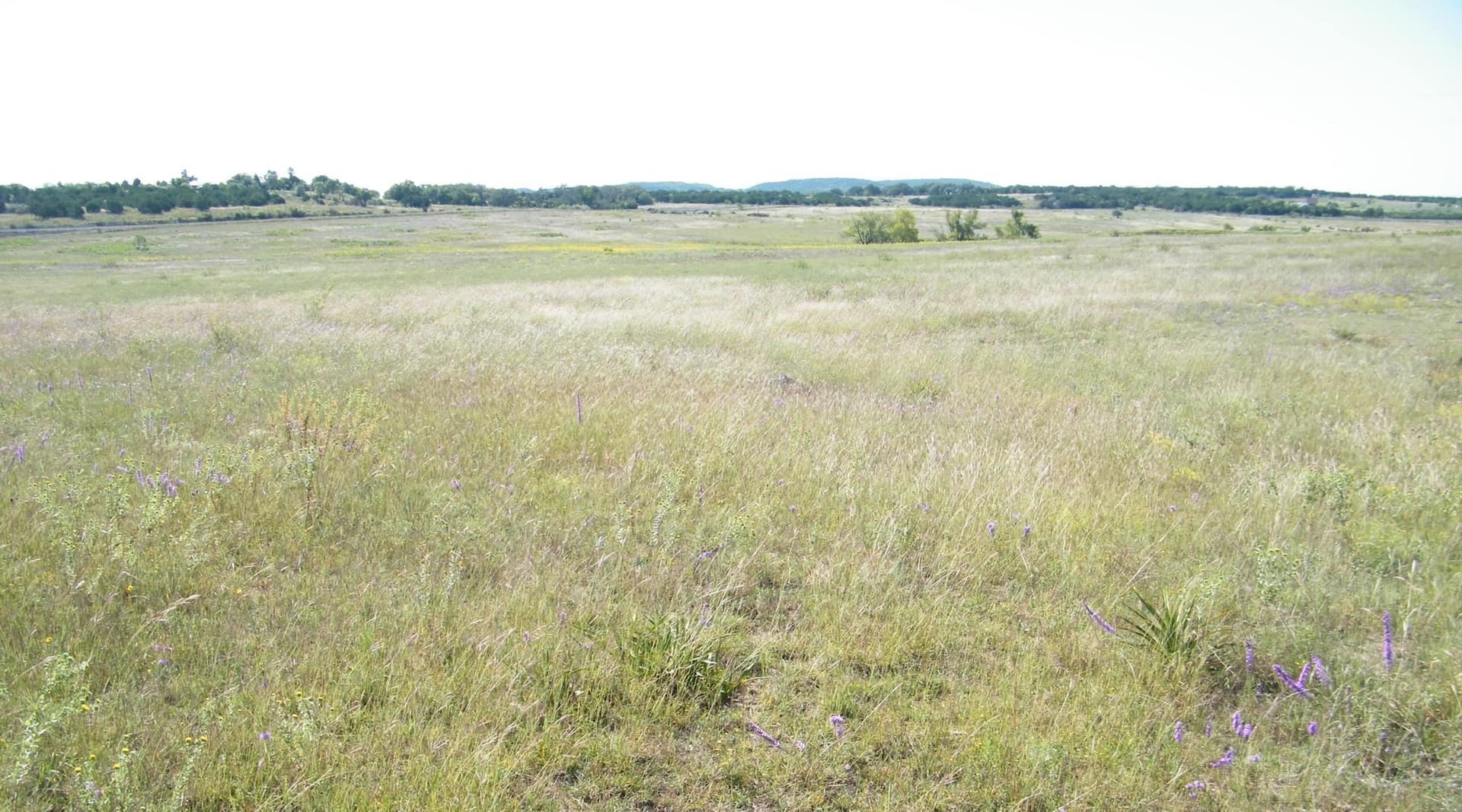 40 acres in Burnet County gallery image 4