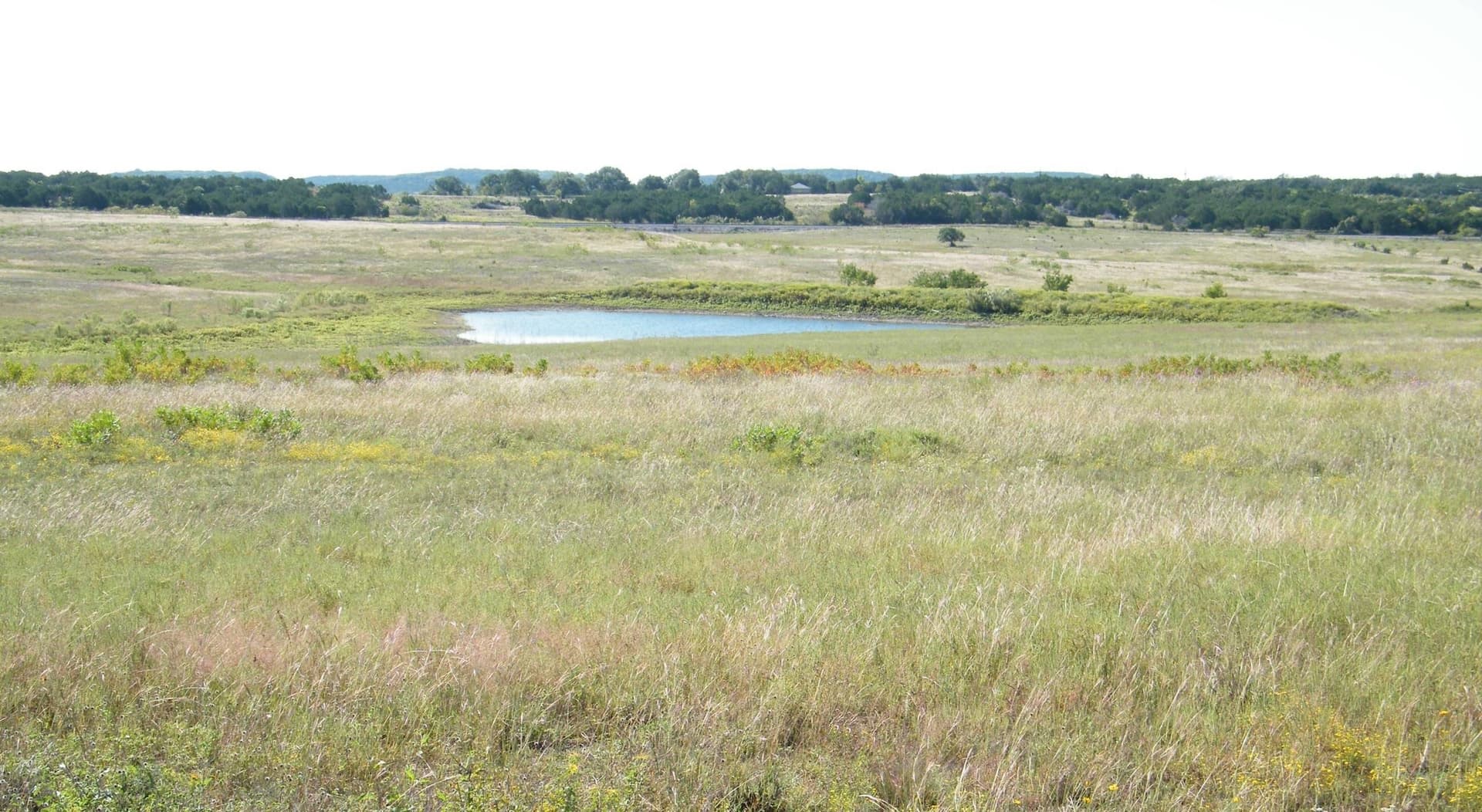 40 acres in Burnet County gallery image 2