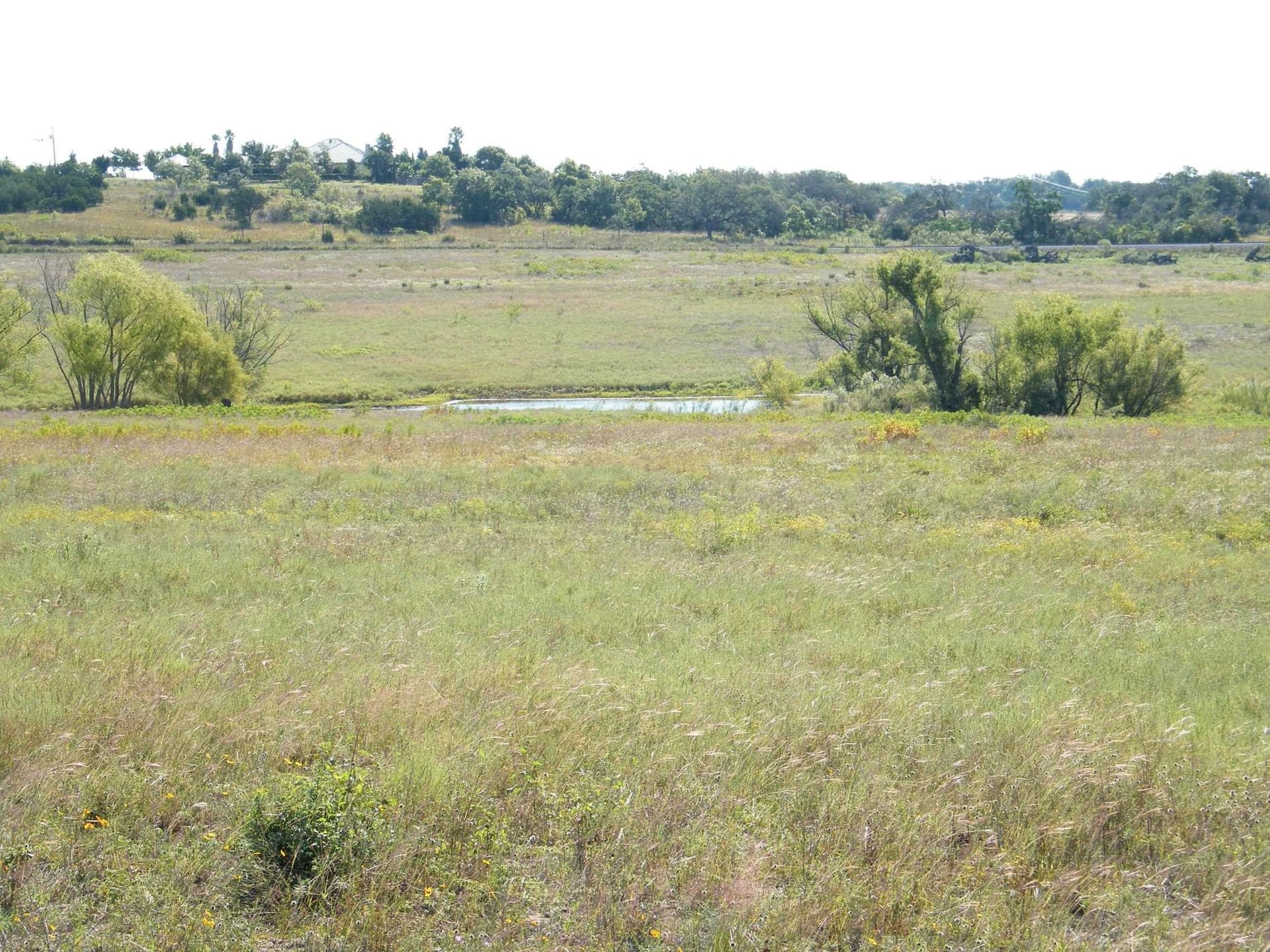40 acres in Burnet County gallery image 3