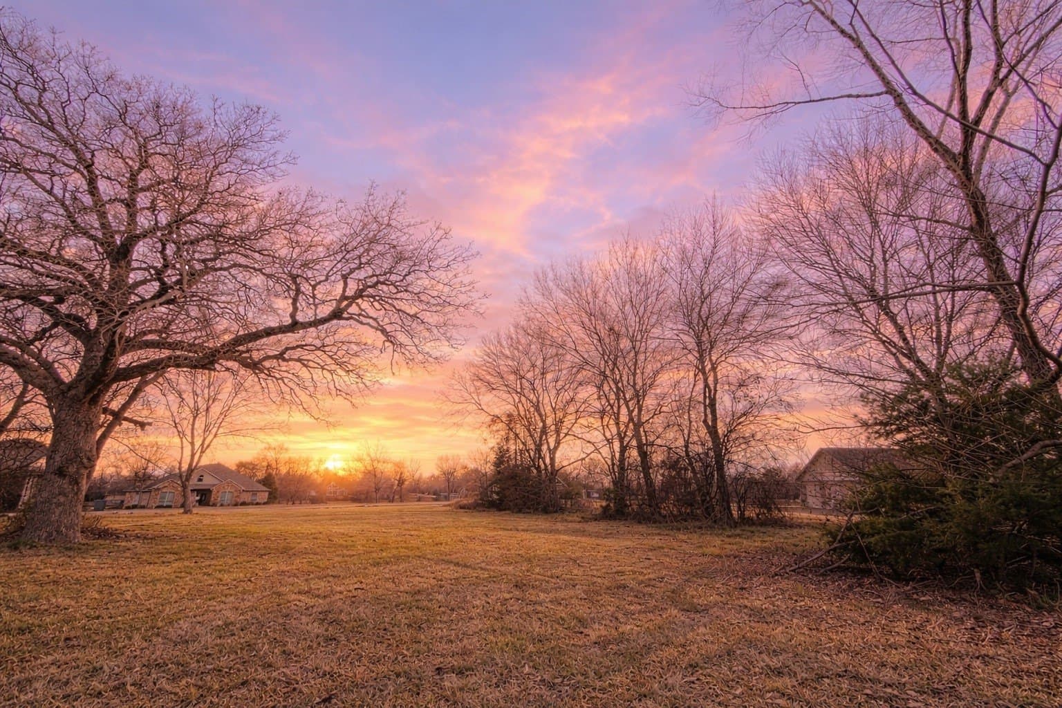 1 acres in Navarro County gallery image 2
