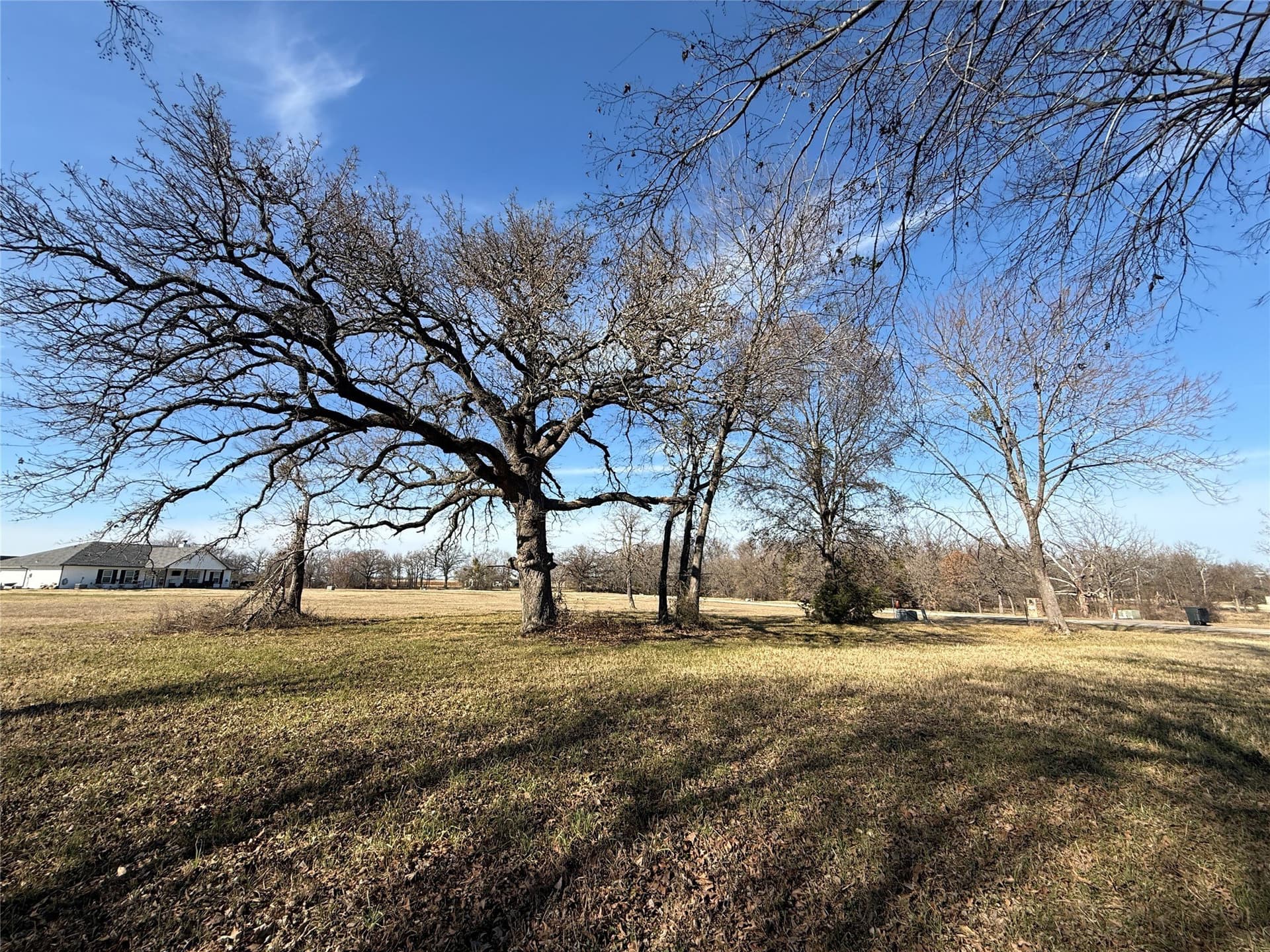 1 acres in Navarro County - photo 19