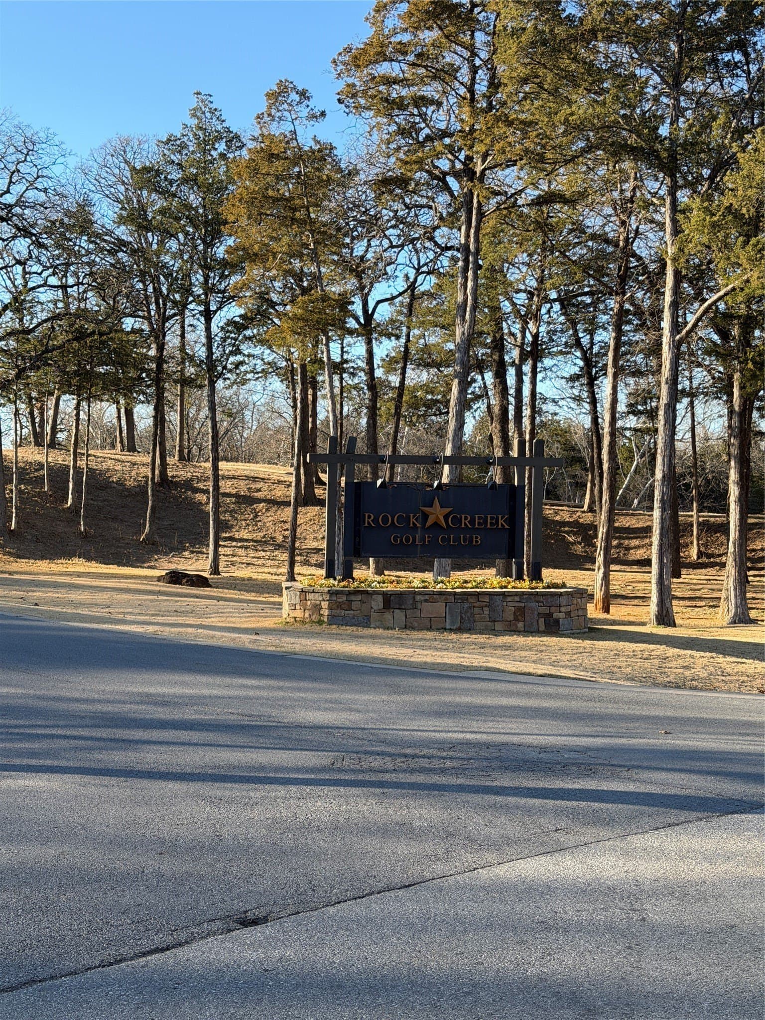 0.25 acres in Grayson County - photo 7