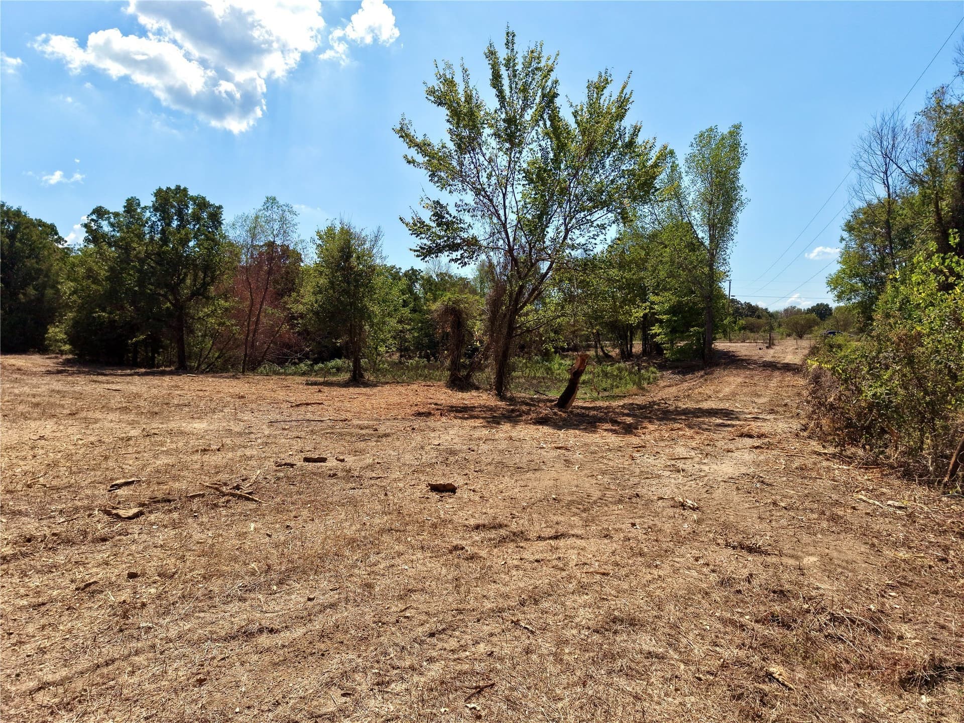 5.47 acres in Henderson County - photo 8