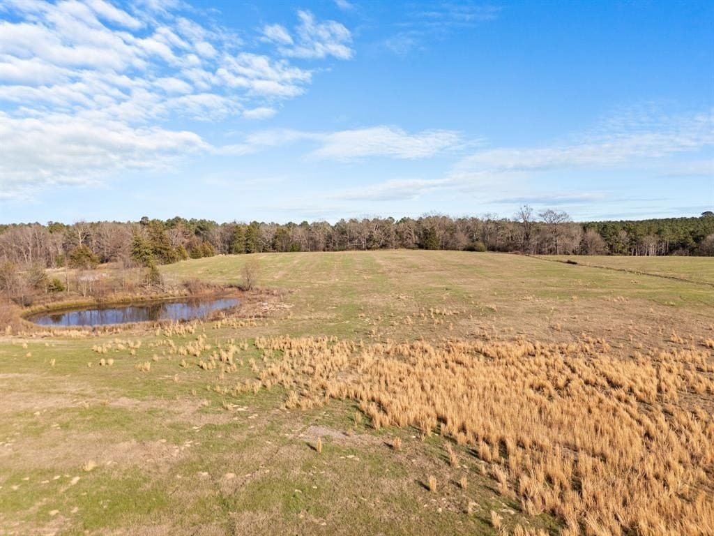 38.14 acres in Camp County gallery image 4