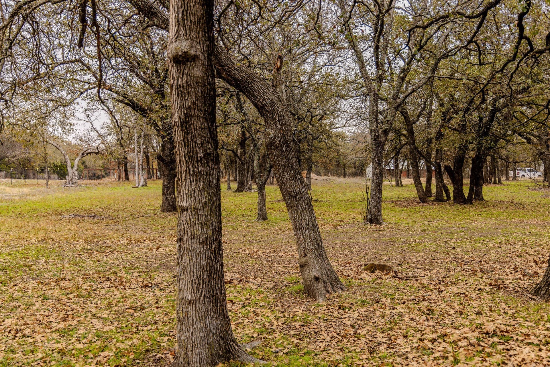89.42 acres in Palo Pinto County - photo 39