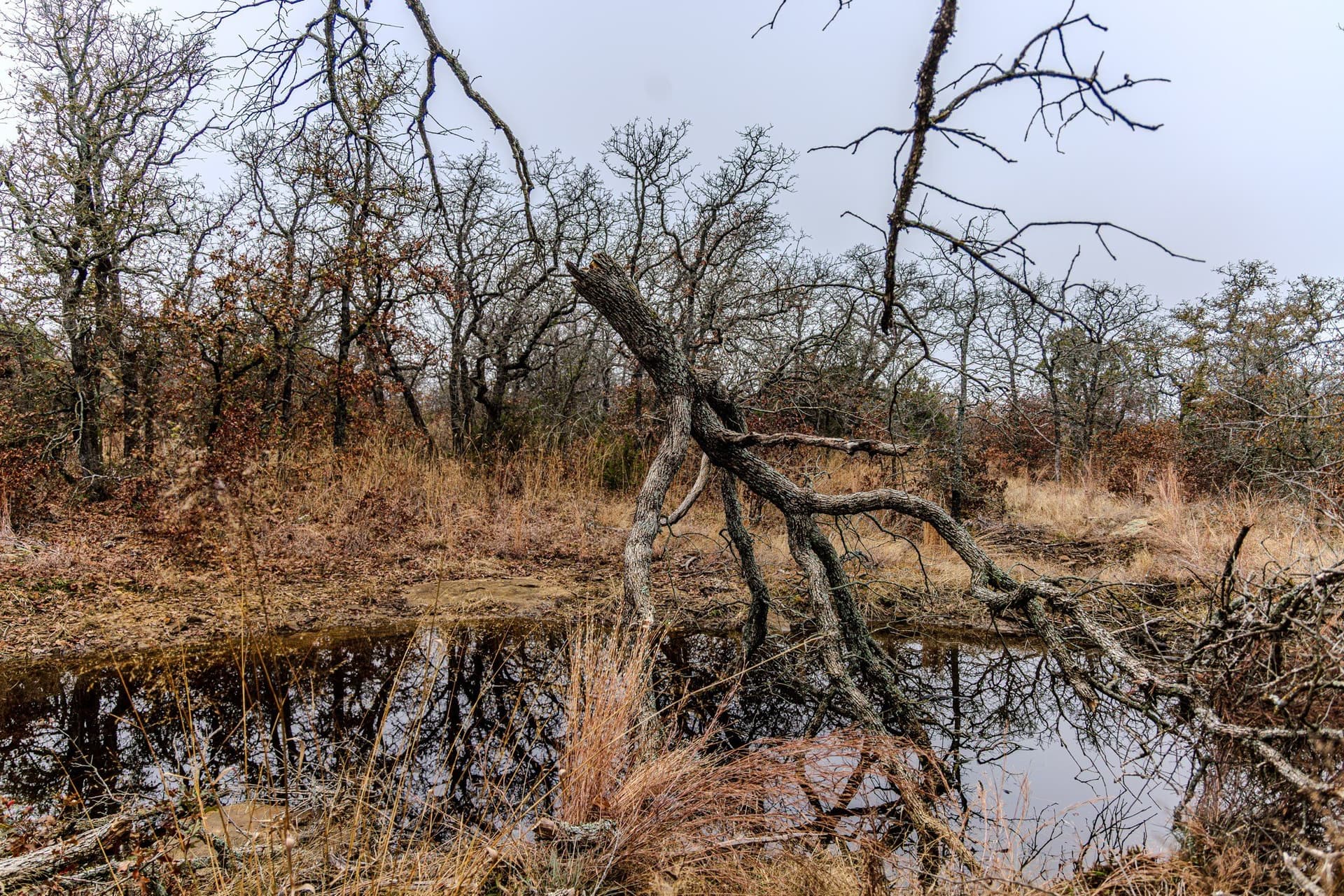89.42 acres in Palo Pinto County - photo 31