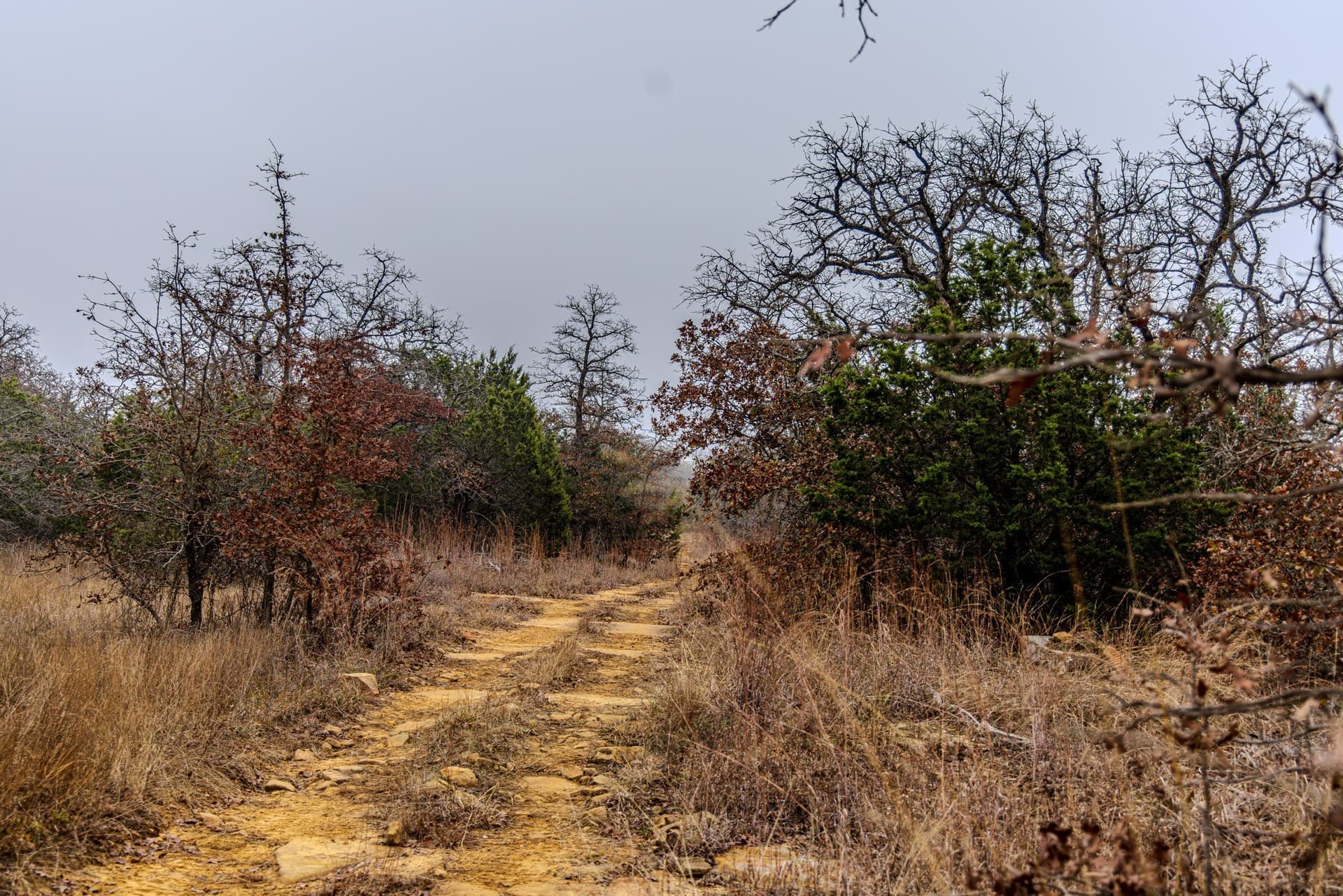 89.42 acres in Palo Pinto County - photo 29