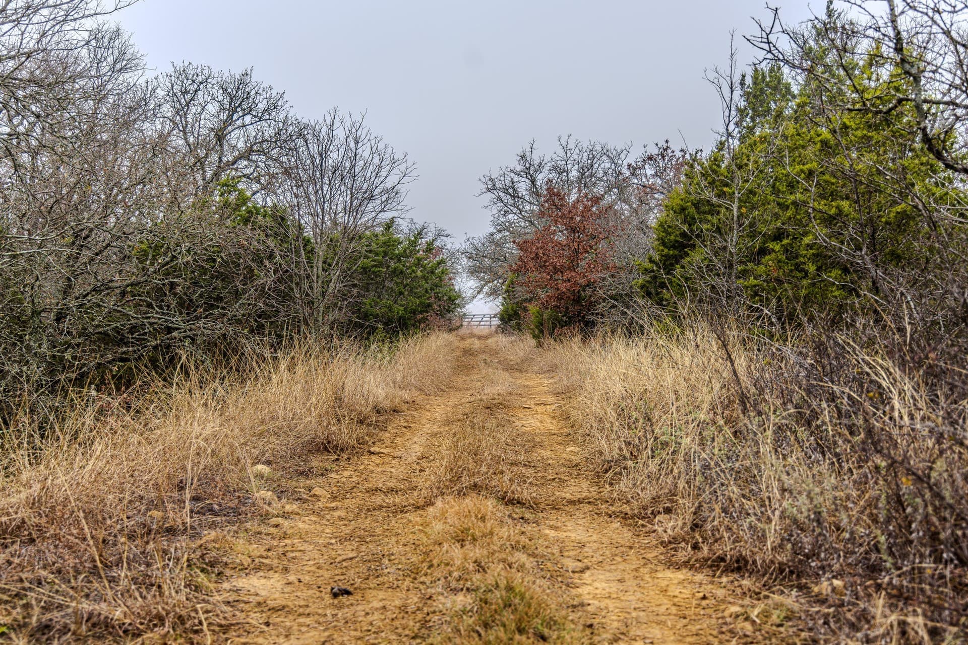 89.42 acres in Palo Pinto County - photo 28