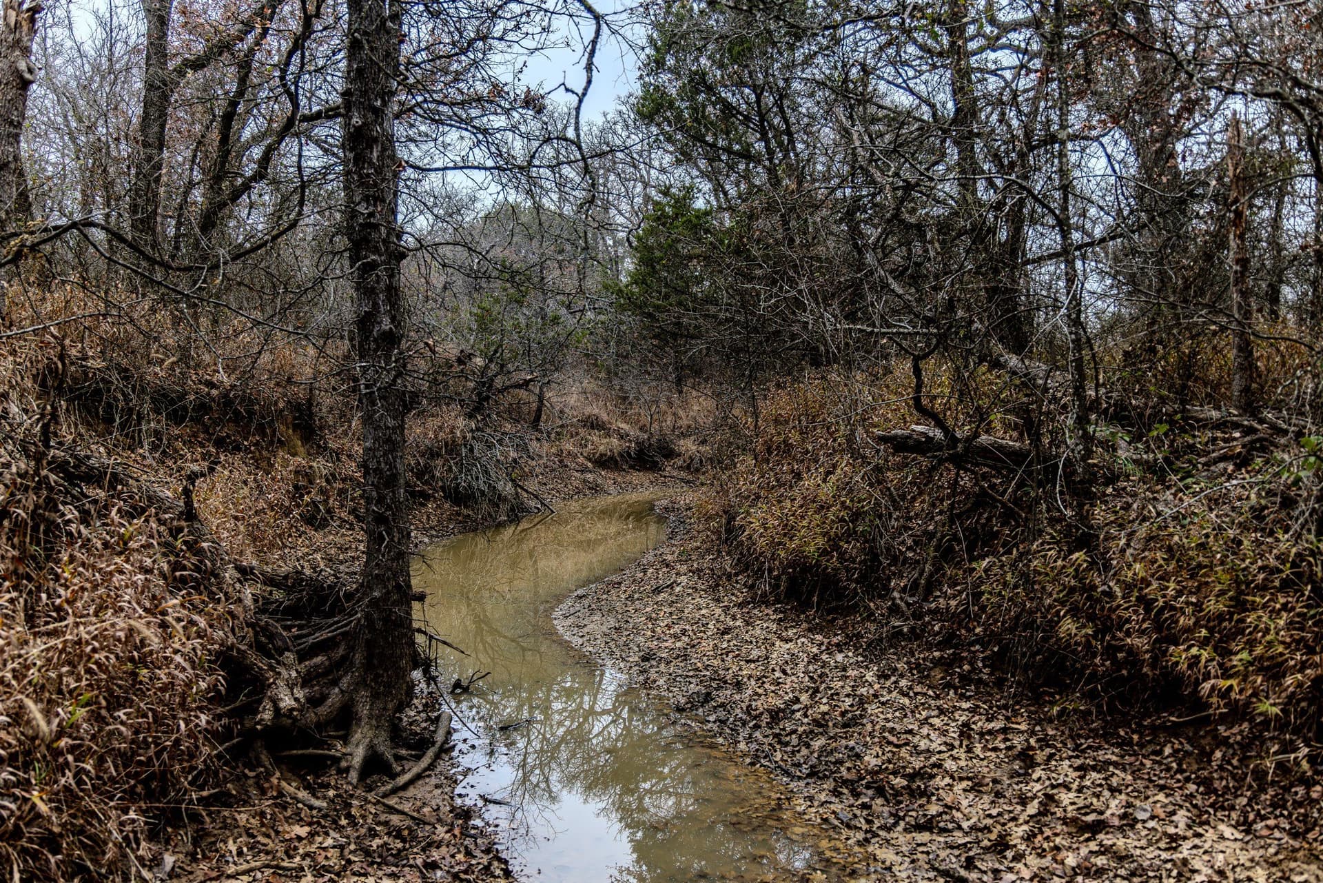 89.42 acres in Palo Pinto County - photo 26