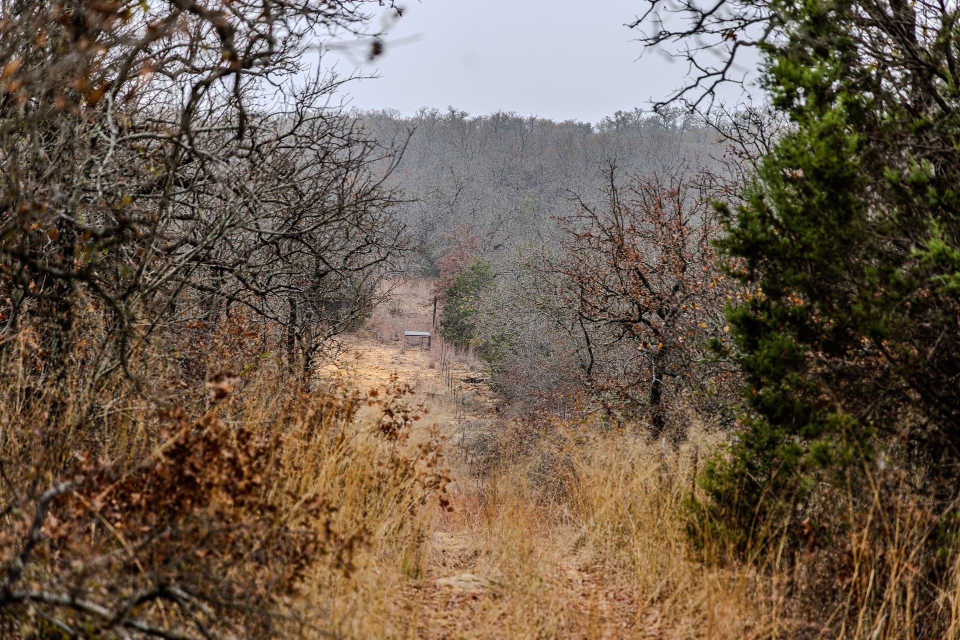 89.42 acres in Palo Pinto County - photo 37