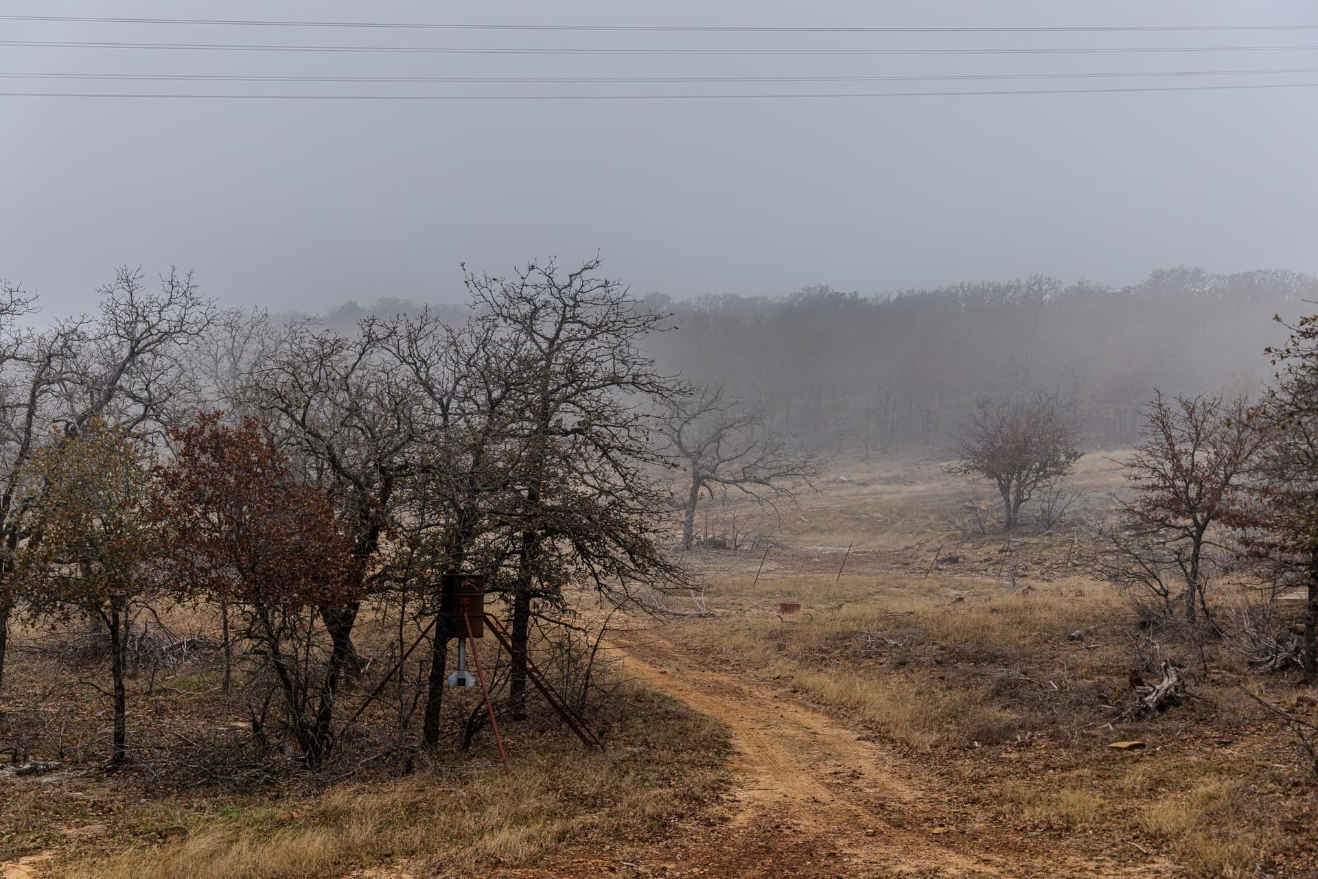 89.42 acres in Palo Pinto County - photo 23