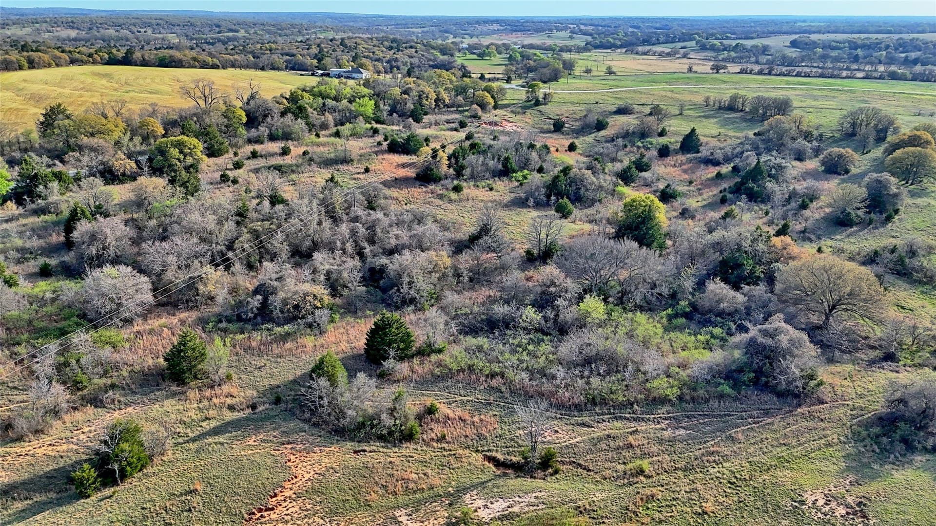19.01 acres in Montague County - photo 8