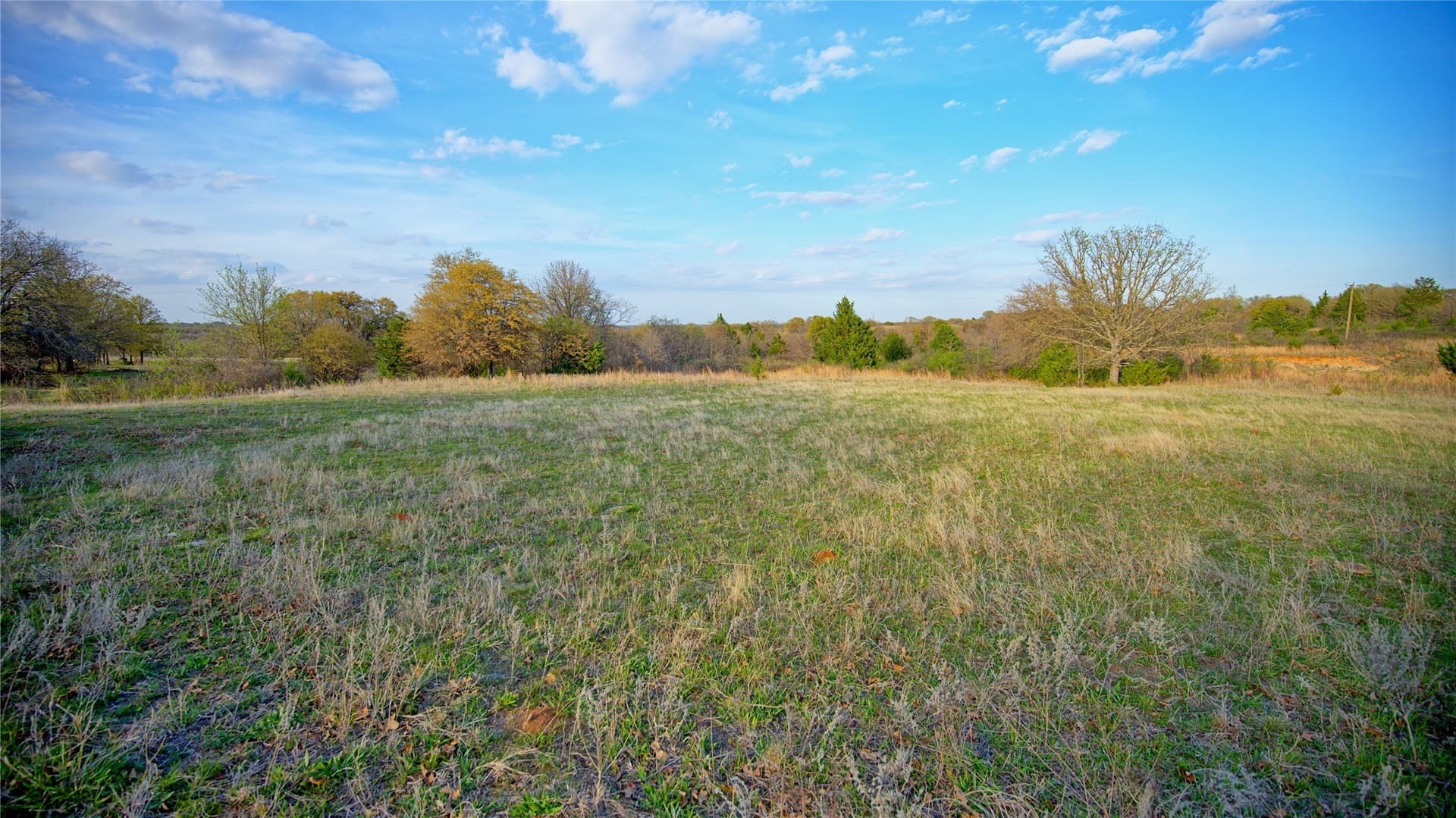 19.01 acres in Montague County - photo 21