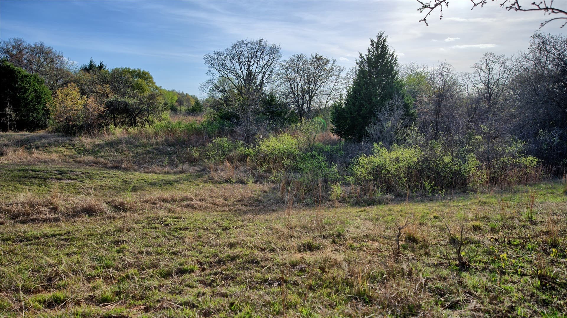 19.01 acres in Montague County - photo 7