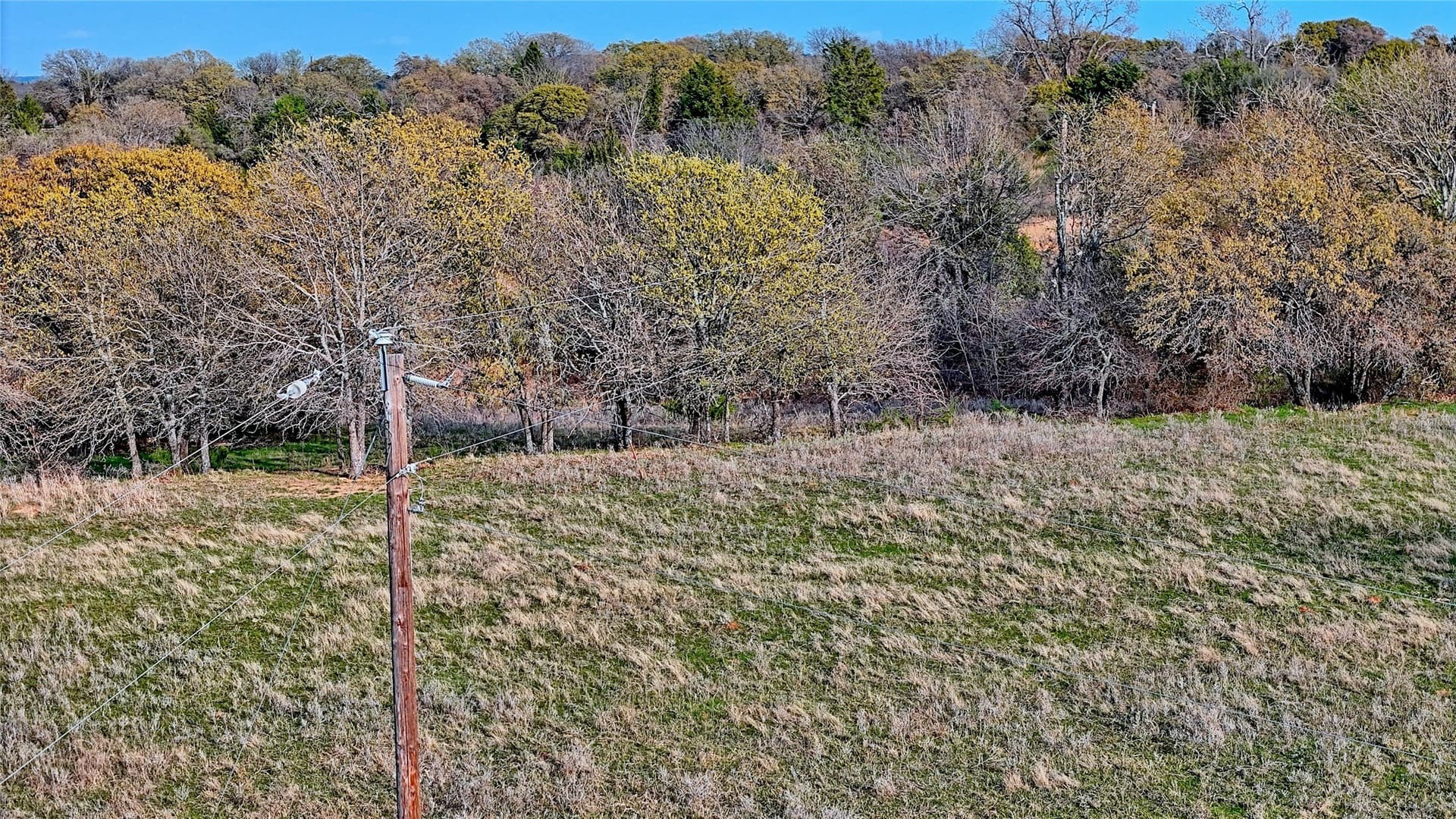 19.01 acres in Montague County - photo 14