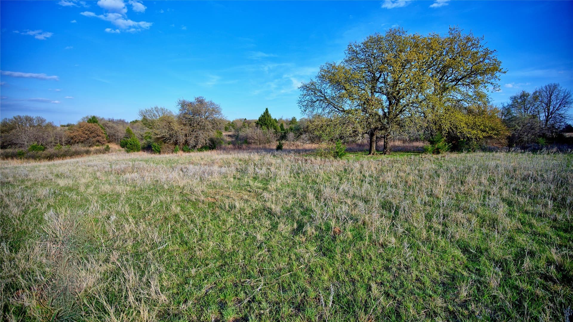 19.01 acres in Montague County - photo 11