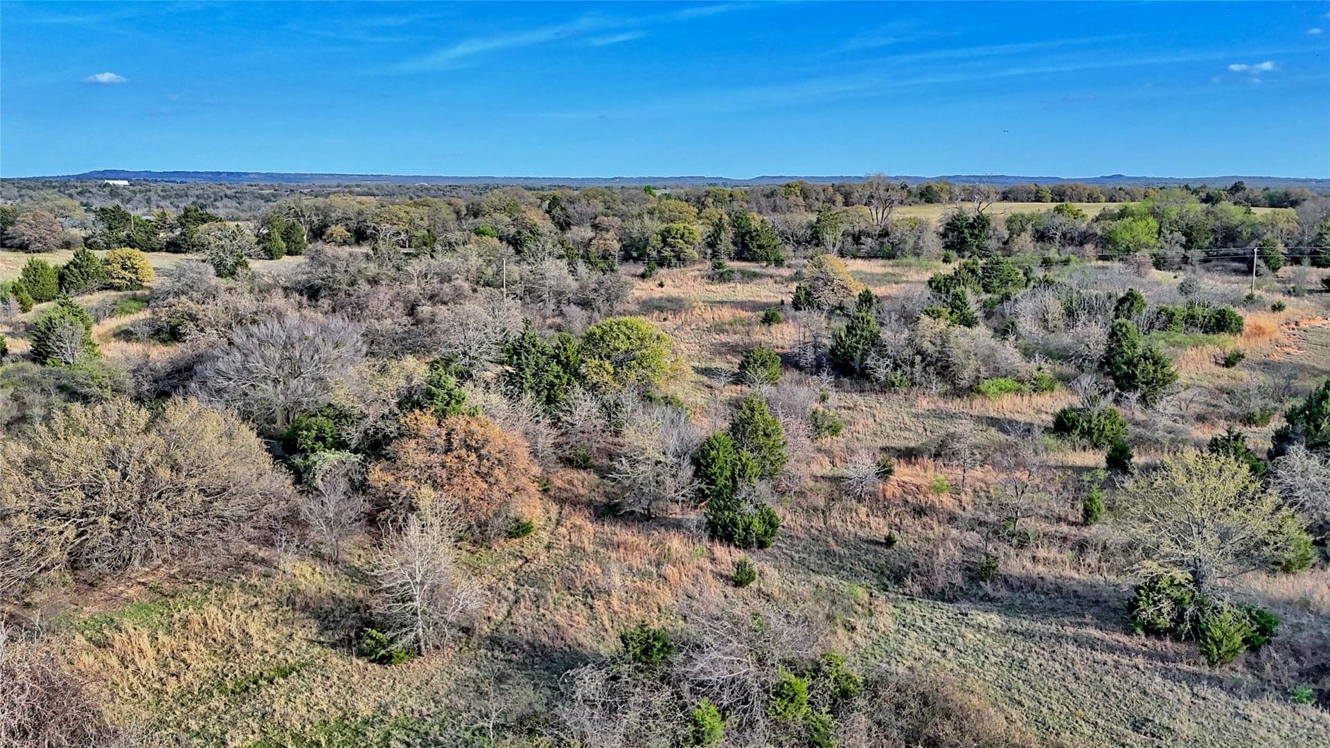 19.01 acres in Montague County - photo 16