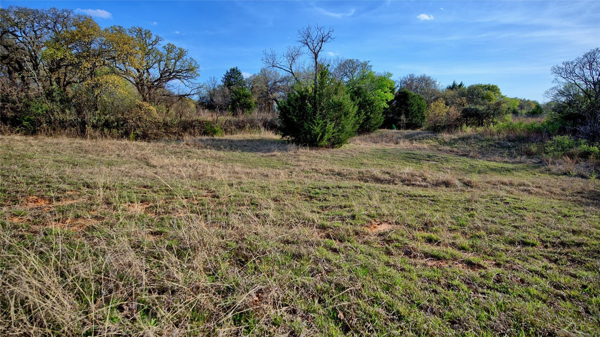 19.01 acres in Montague County - photo 18