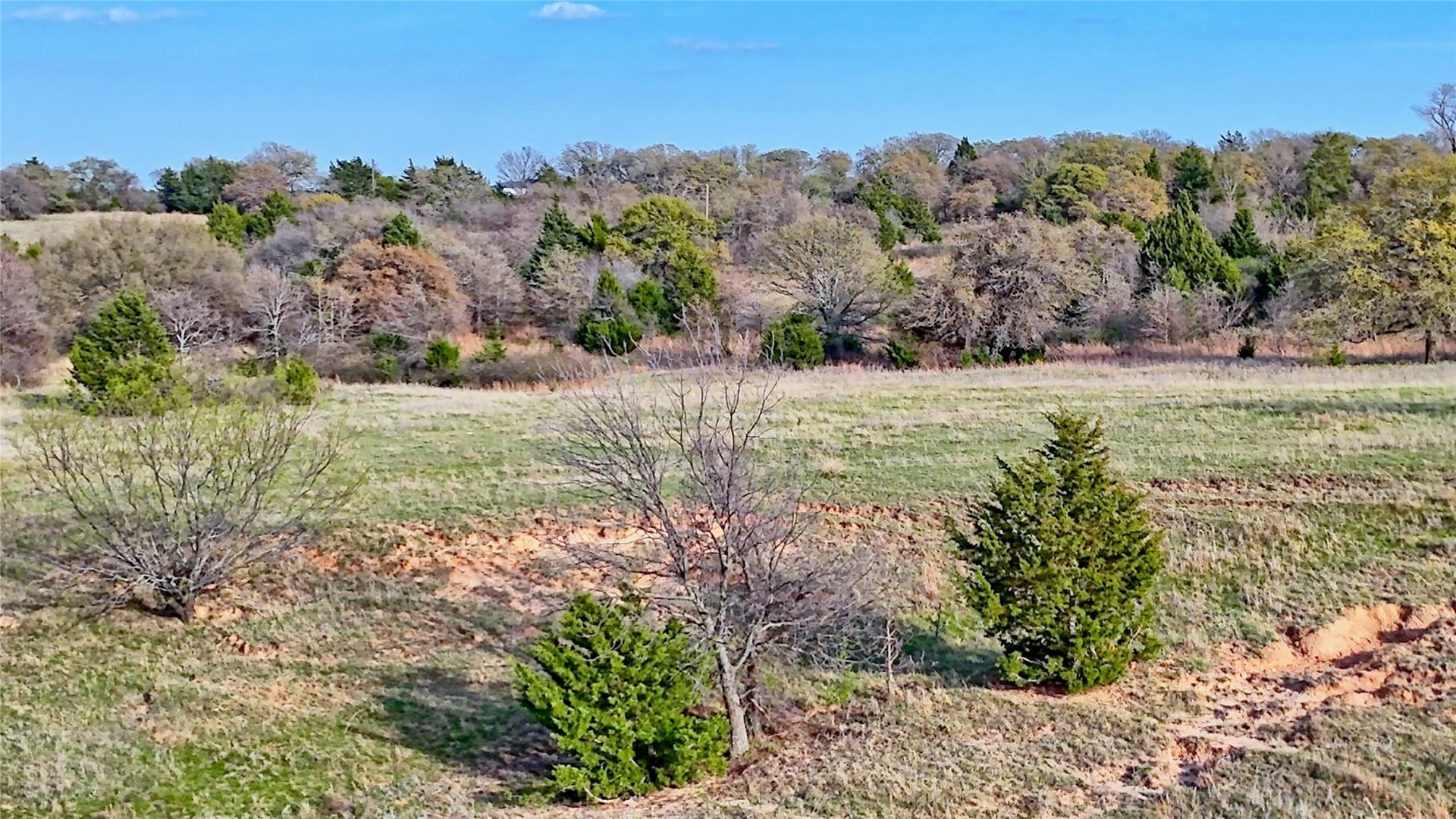 19.01 acres in Montague County - photo 5
