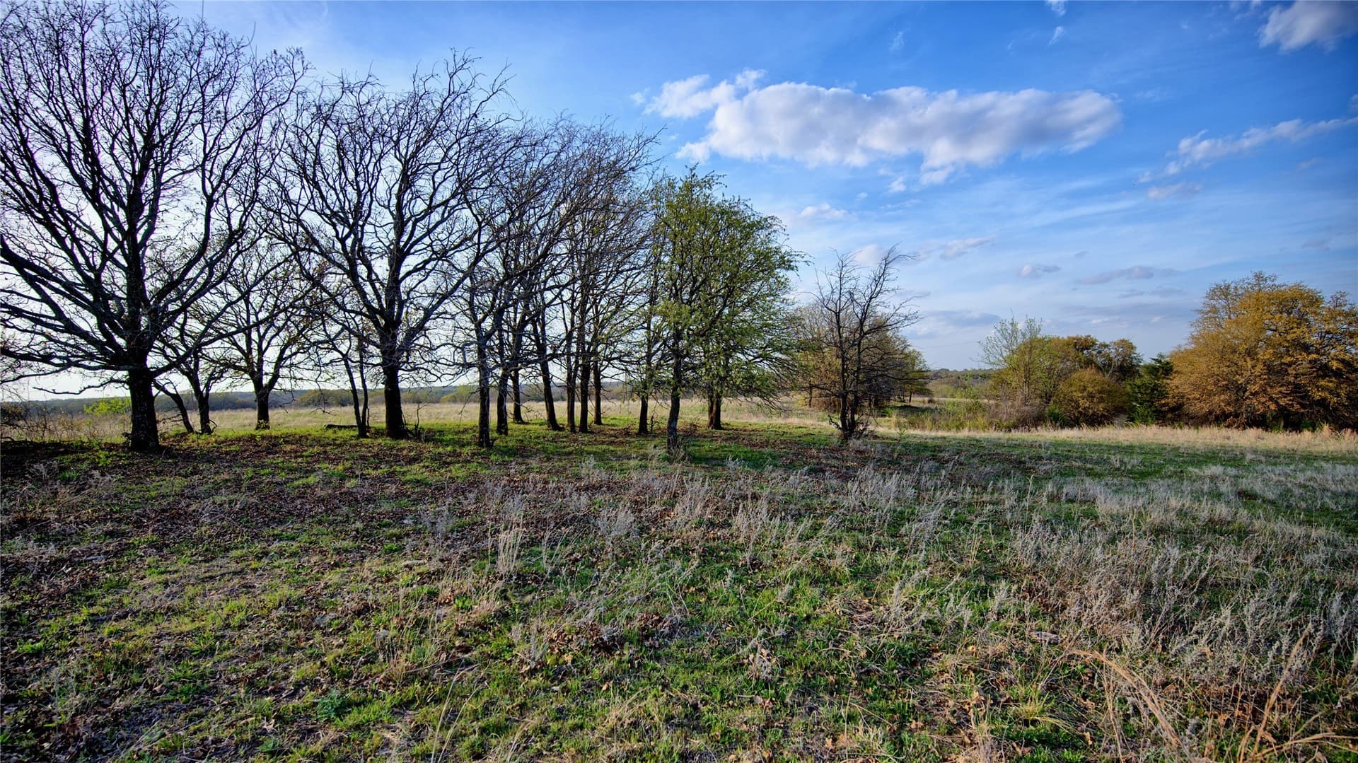 19.01 acres in Montague County - photo 10