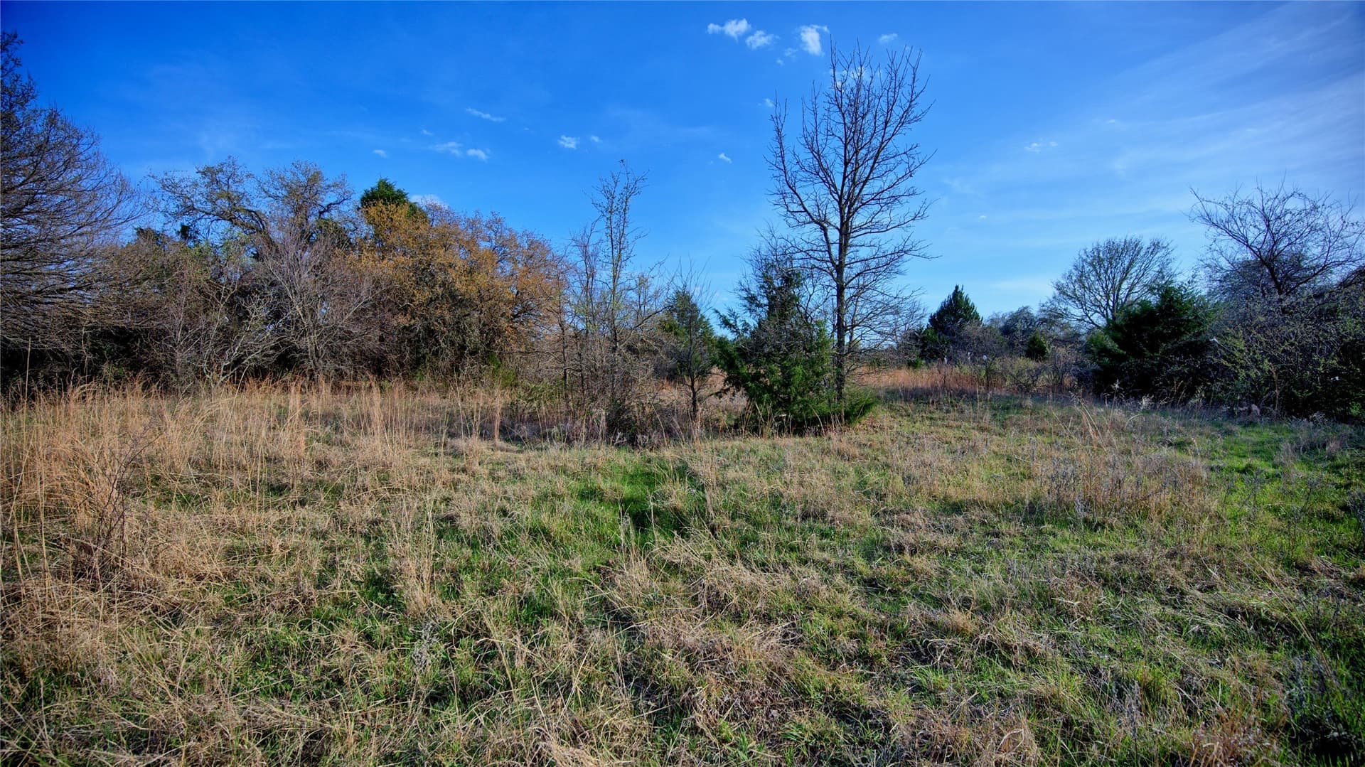 19.01 acres in Montague County - photo 19
