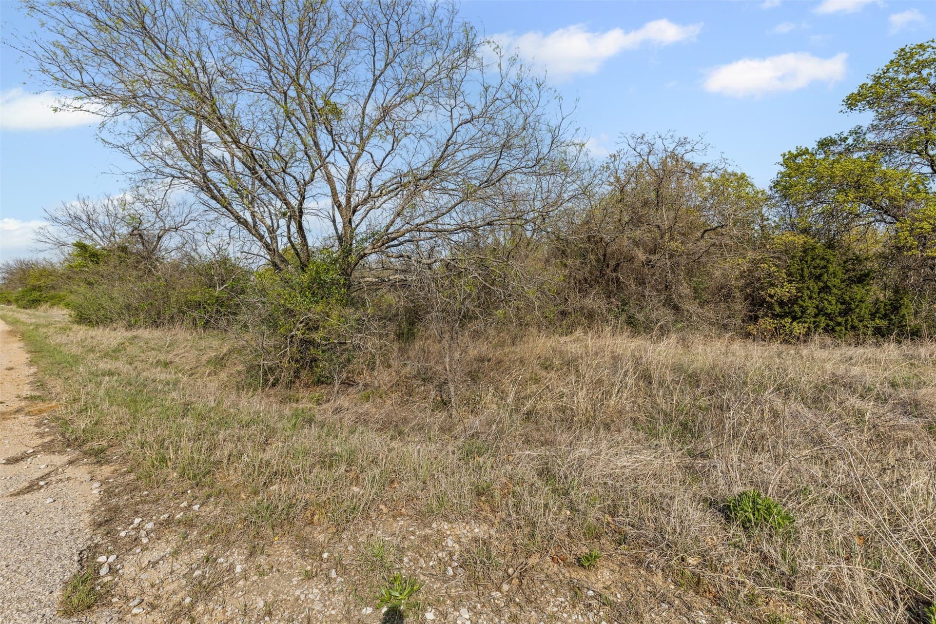 198.52 acres in Wise County - photo 13