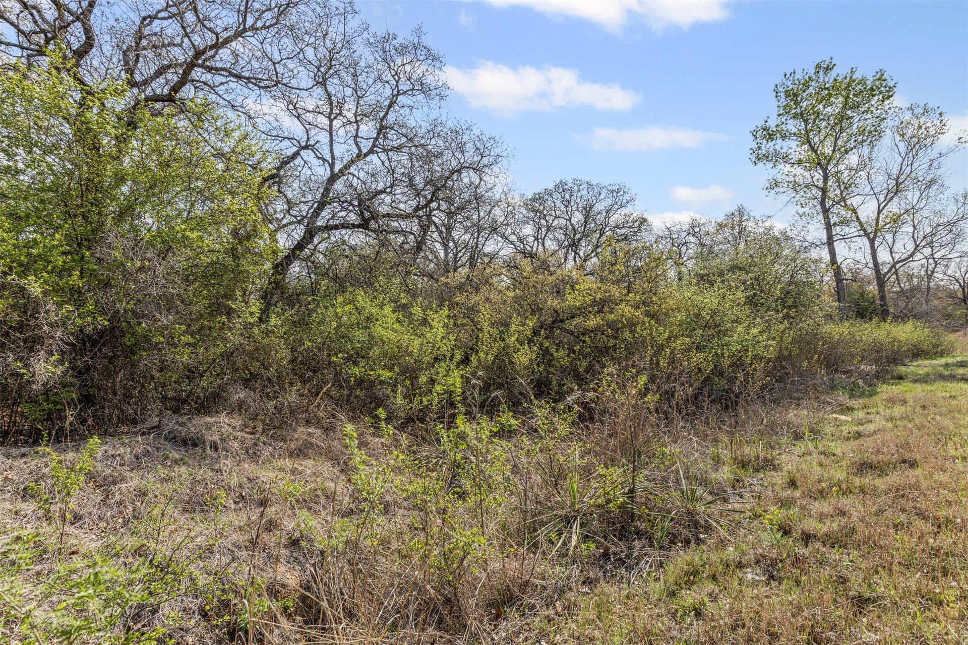 198.52 acres in Wise County - photo 15