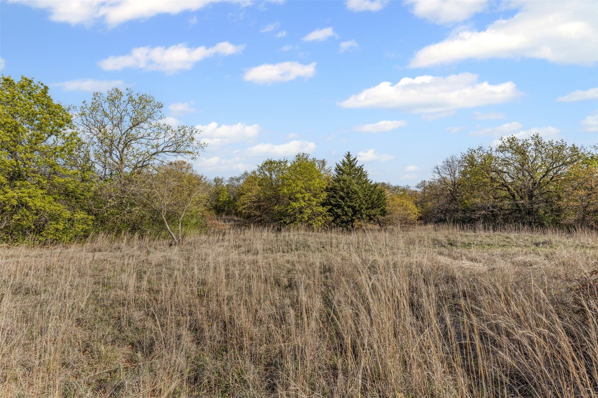 198.52 acres in Wise County - photo 14