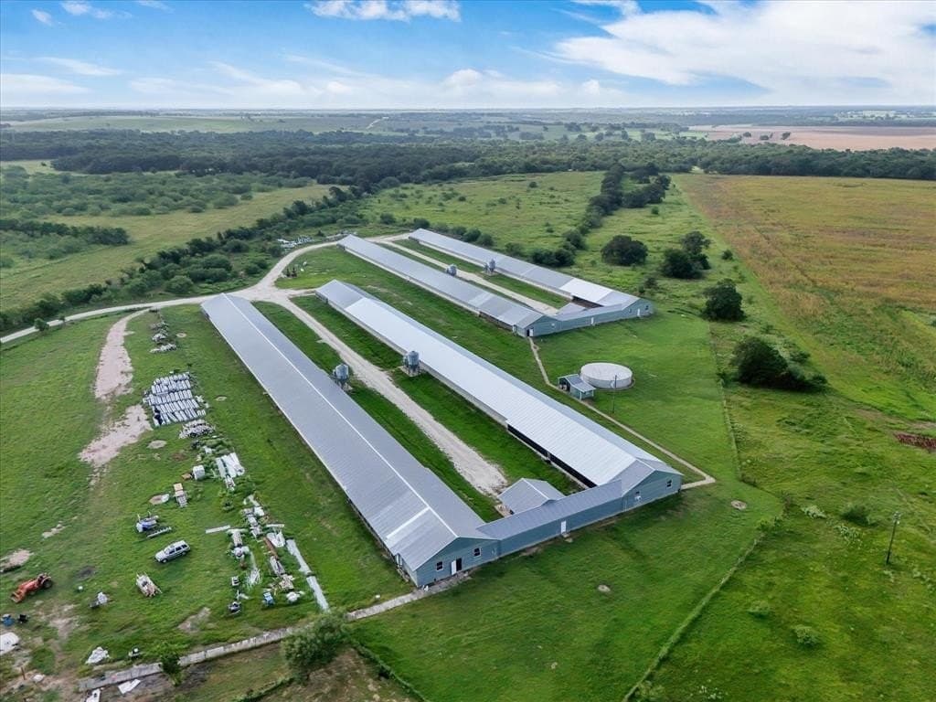 40 acres in Falls County gallery image 2