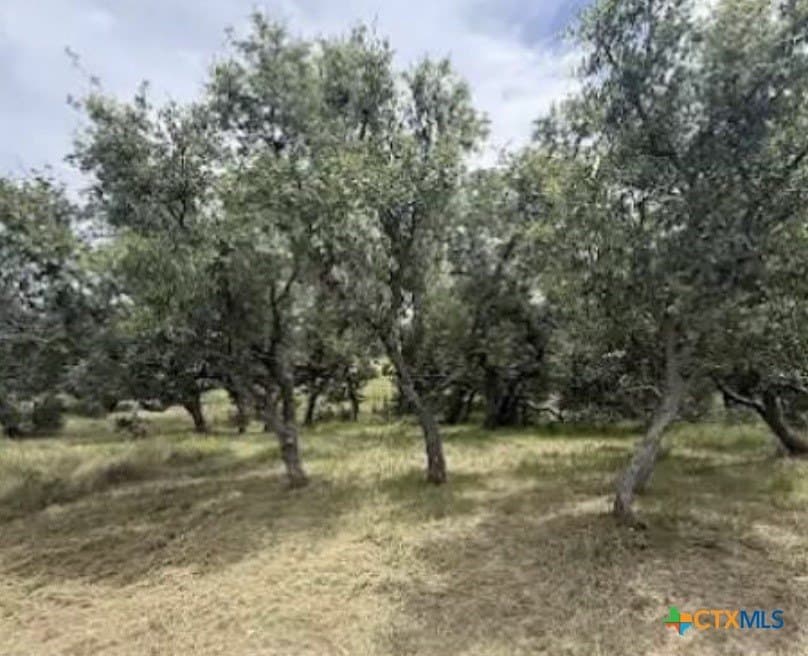 3.12 acres in Burnet County gallery image 4