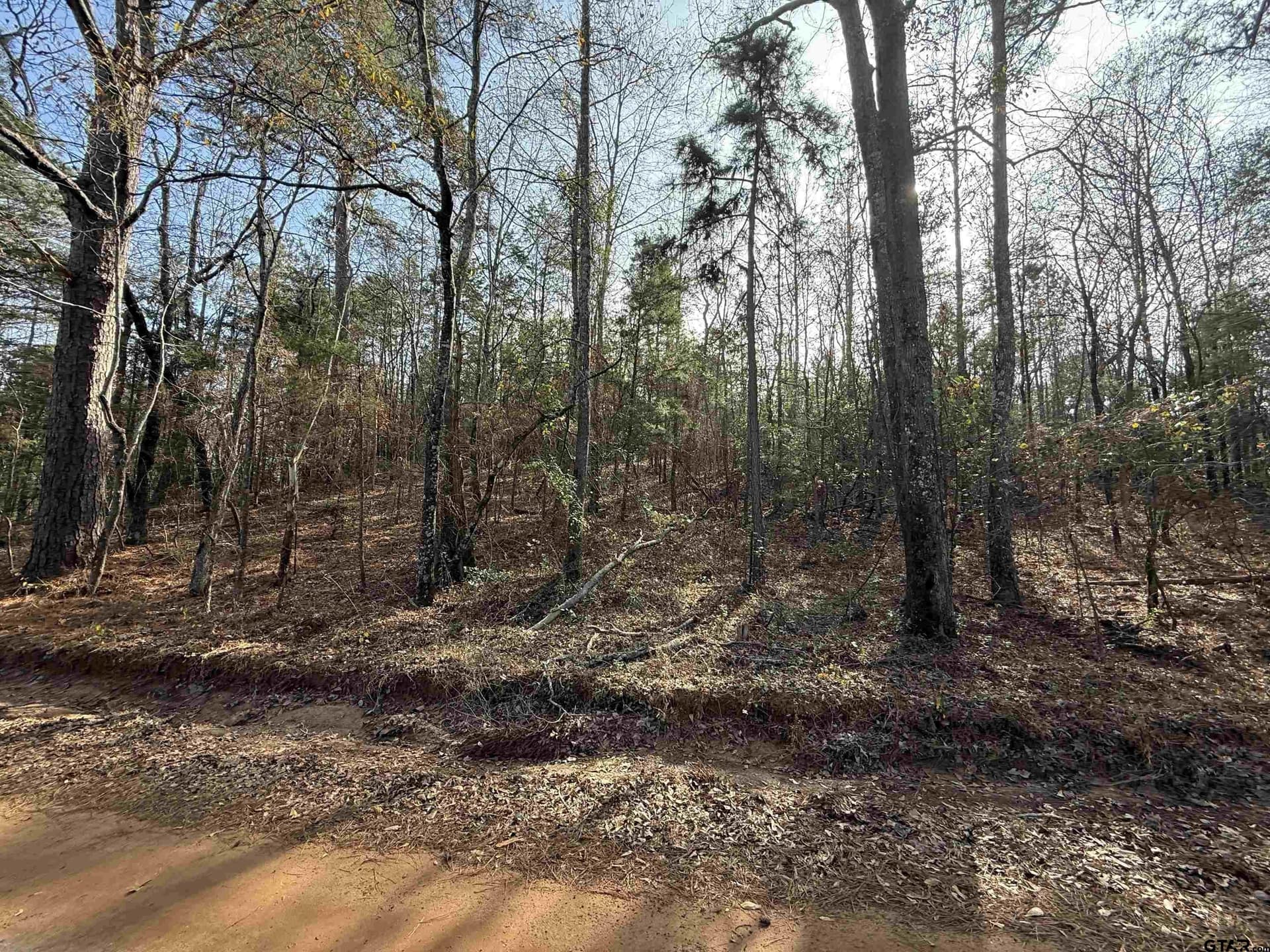 11 acres in Cass County - photo 4