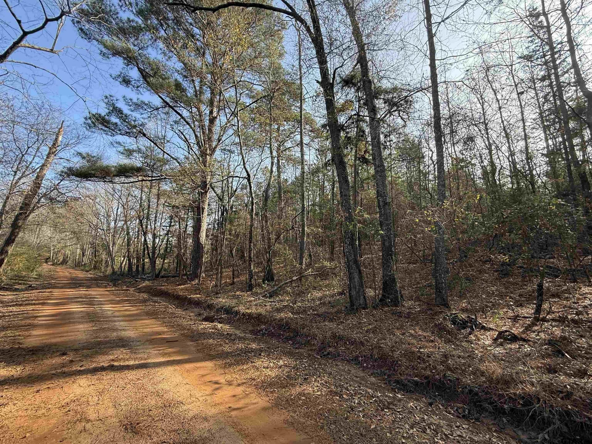 11 acres in Cass County