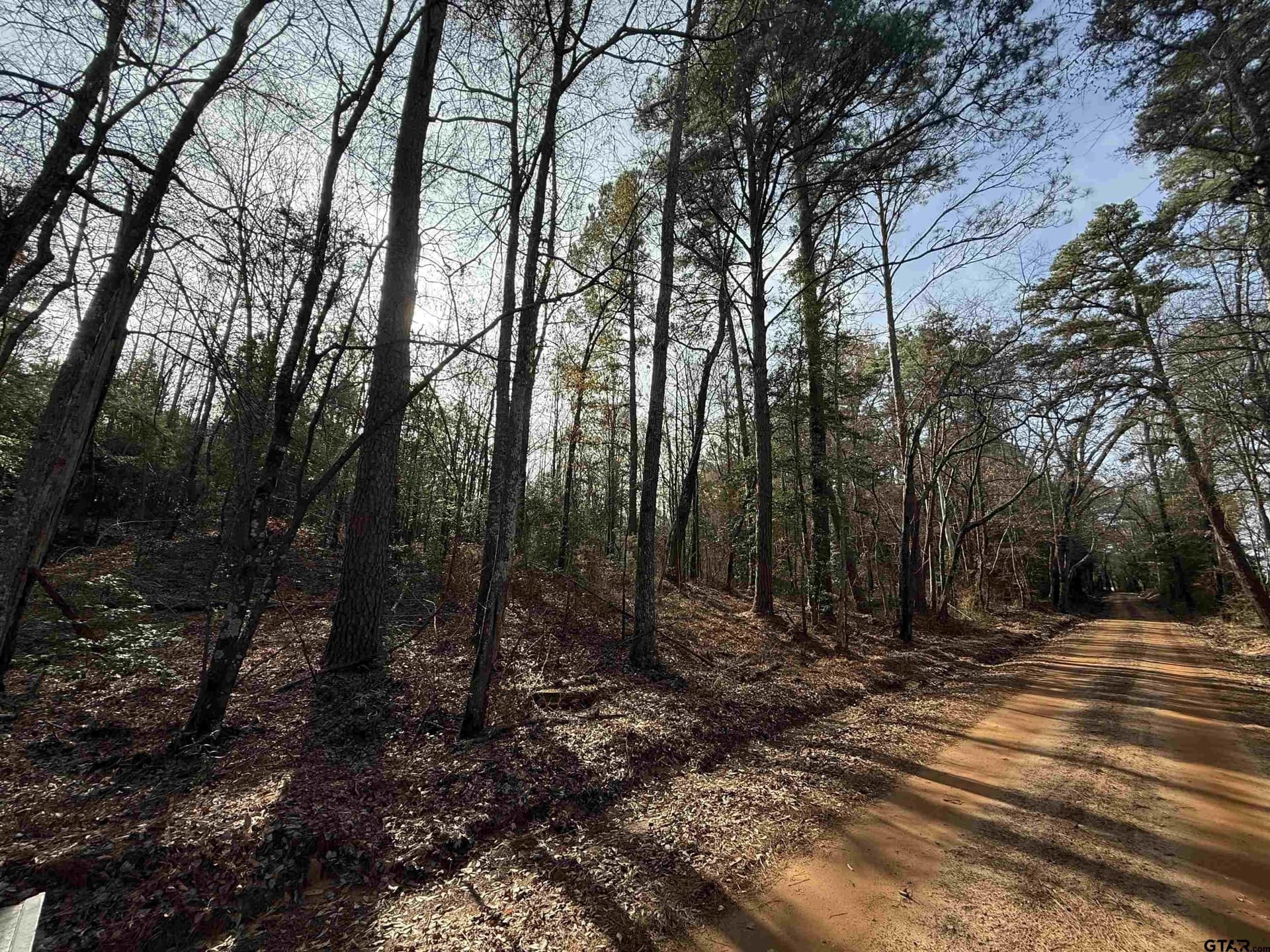 11 acres in Cass County - photo 3