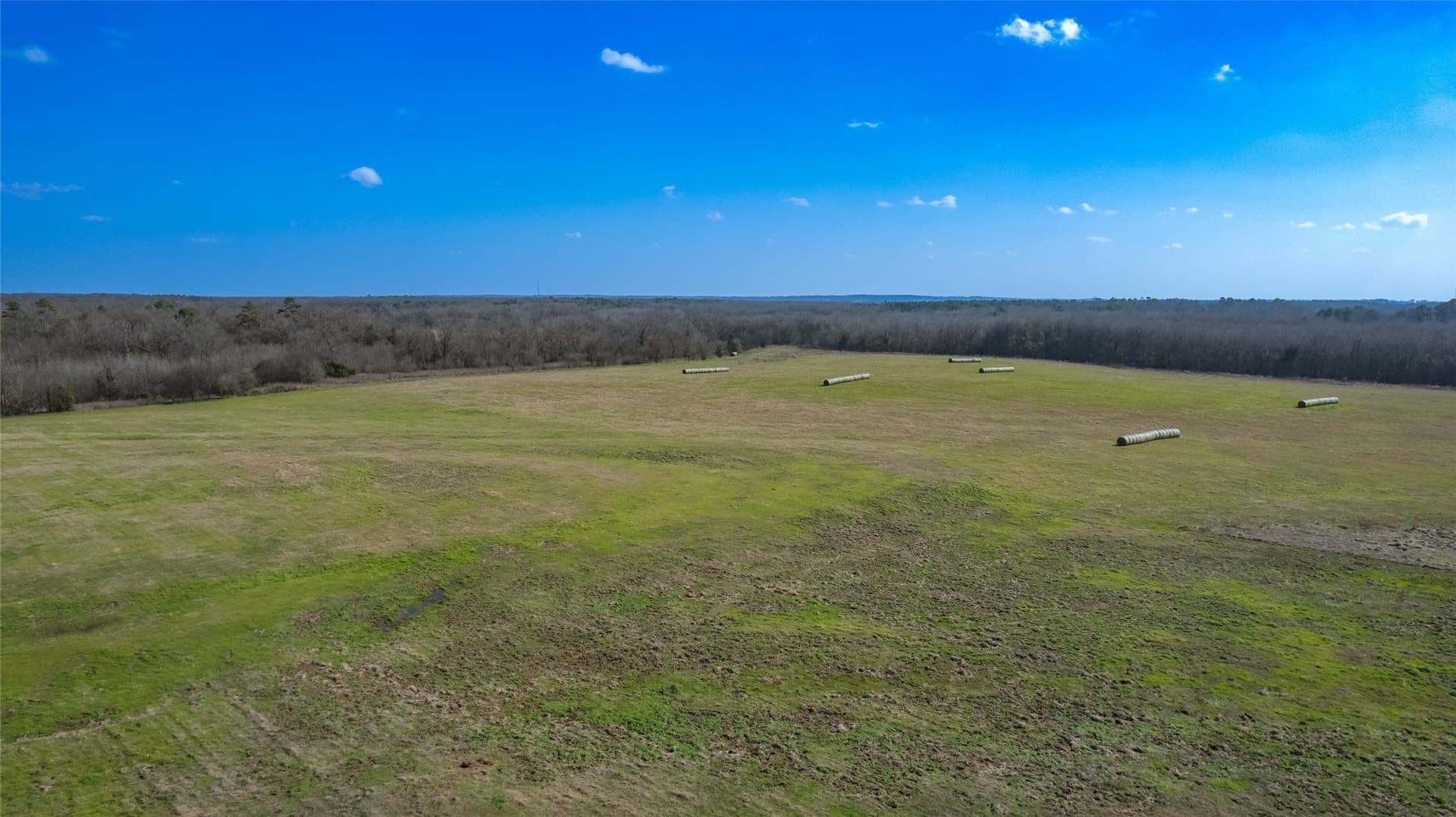 40 acres in Hopkins County - photo 7