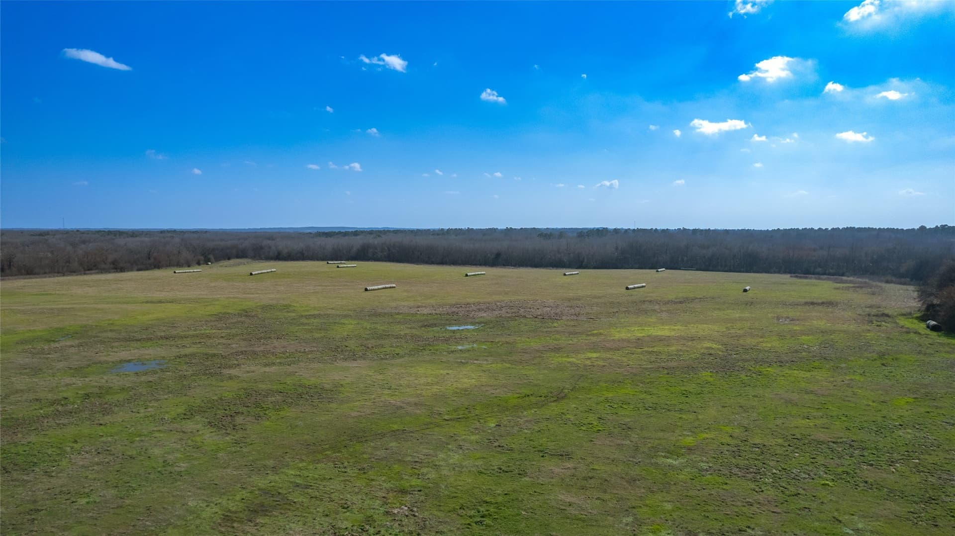 40 acres in Hopkins County - photo 9