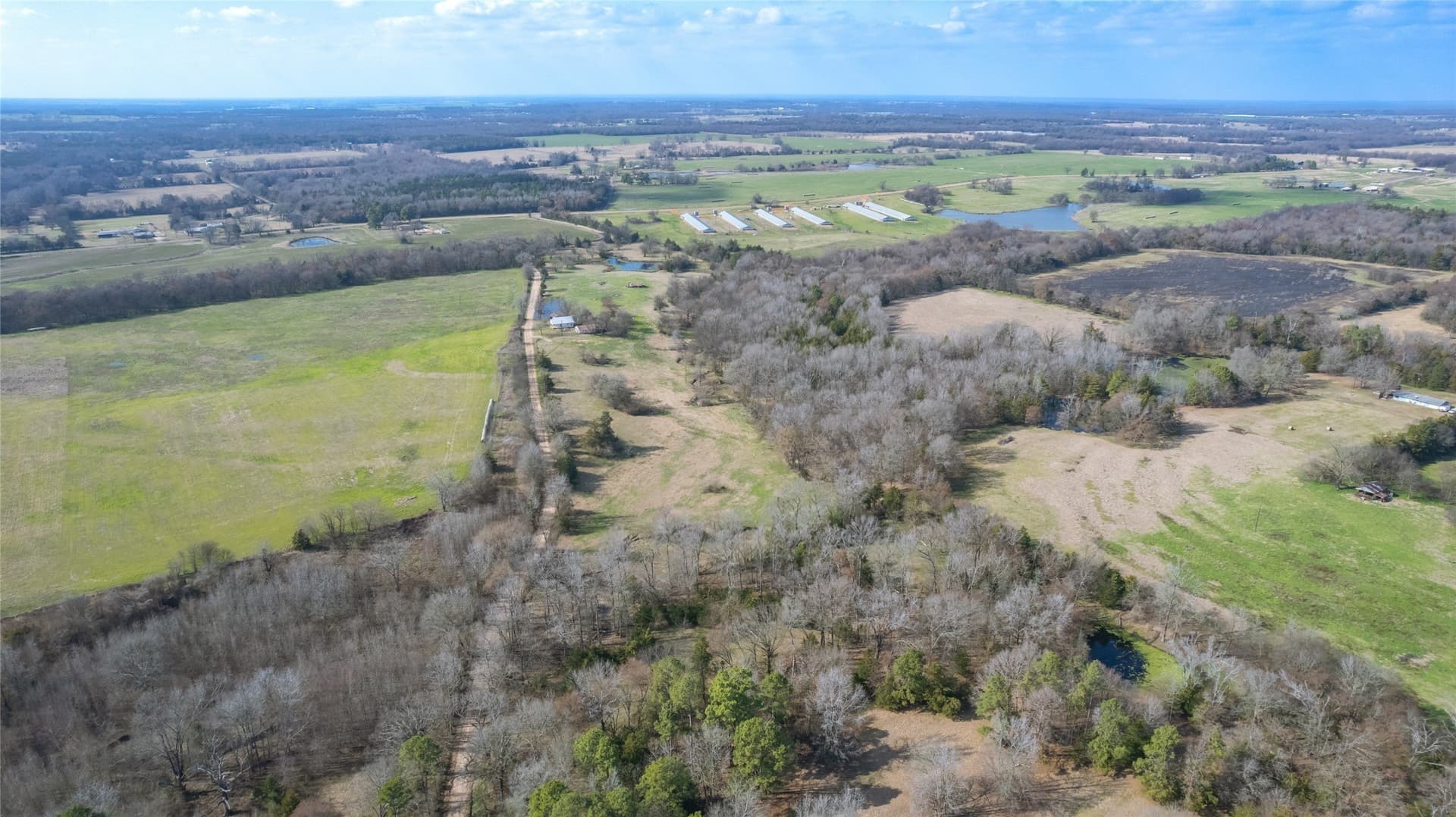 40 acres in Hopkins County - photo 12