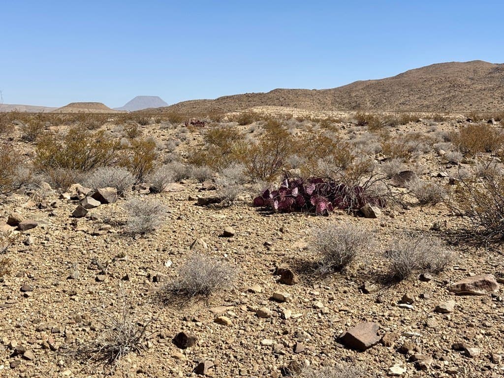 20 acres in Brewster County - photo 11