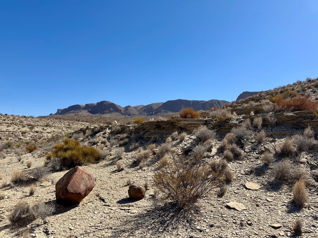 20 acres in Brewster County gallery image 3