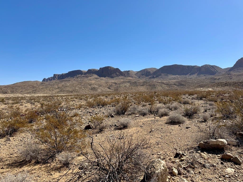 20 acres in Brewster County - photo 8