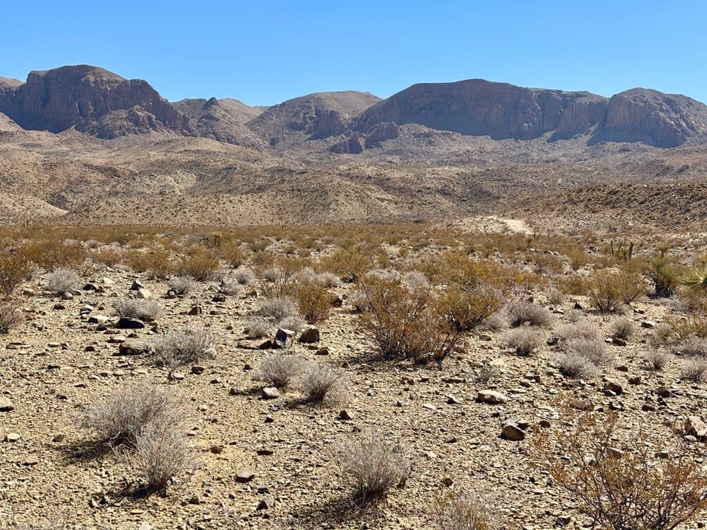 20 acres in Brewster County - photo 10