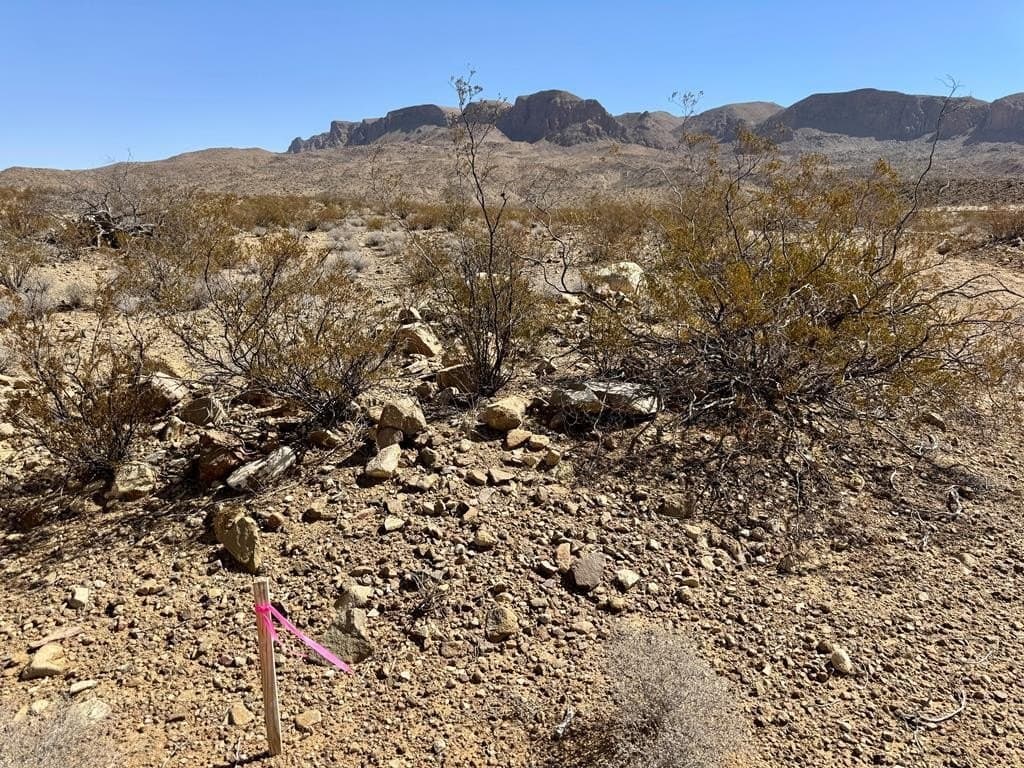 20 acres in Brewster County gallery image 2