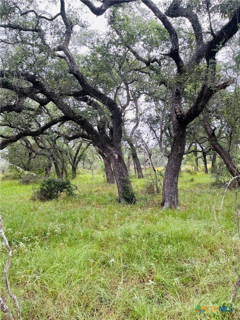 23 acres in DeWitt County featured view
