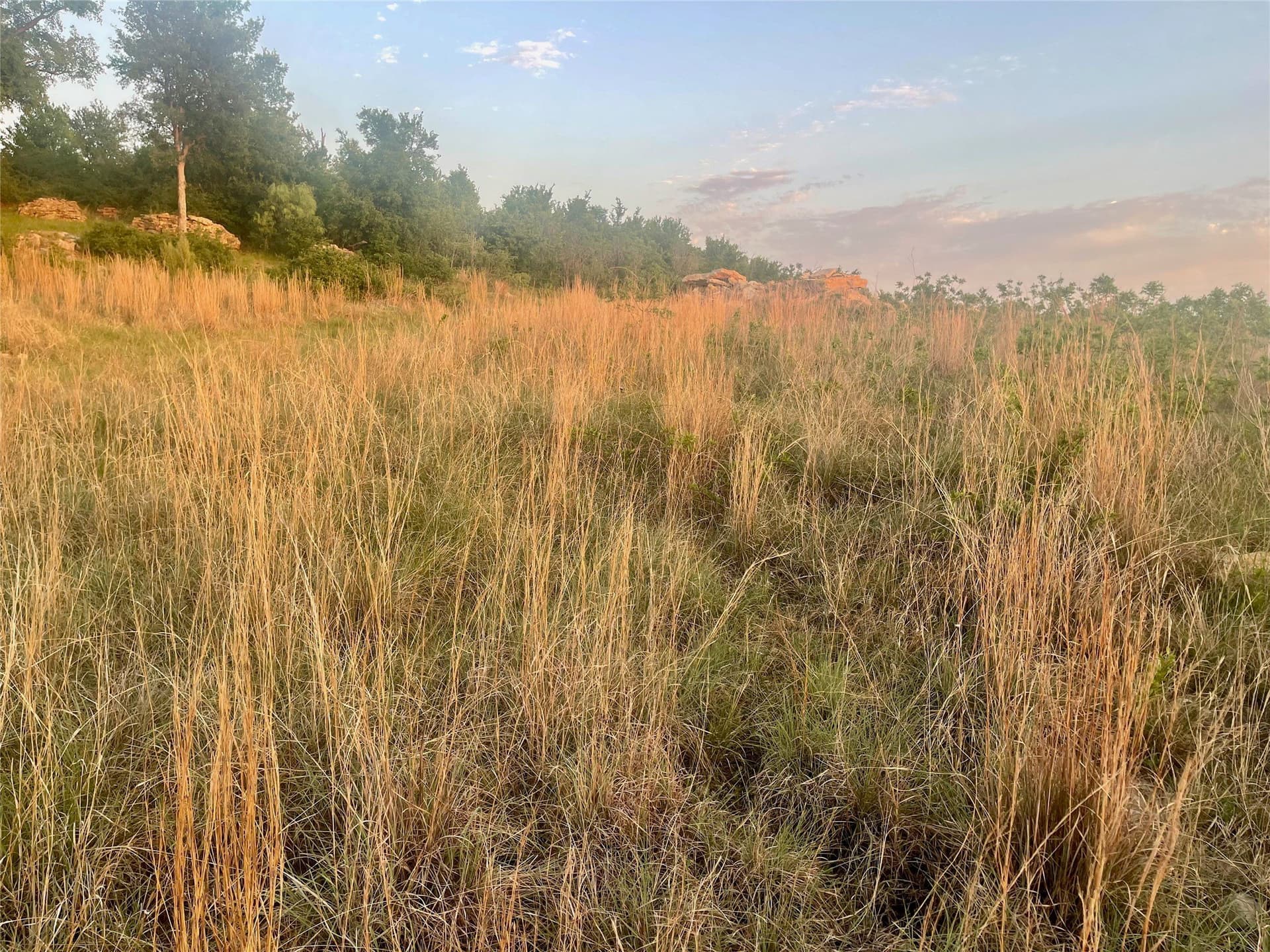 2.02 acres in Palo Pinto County - photo 13