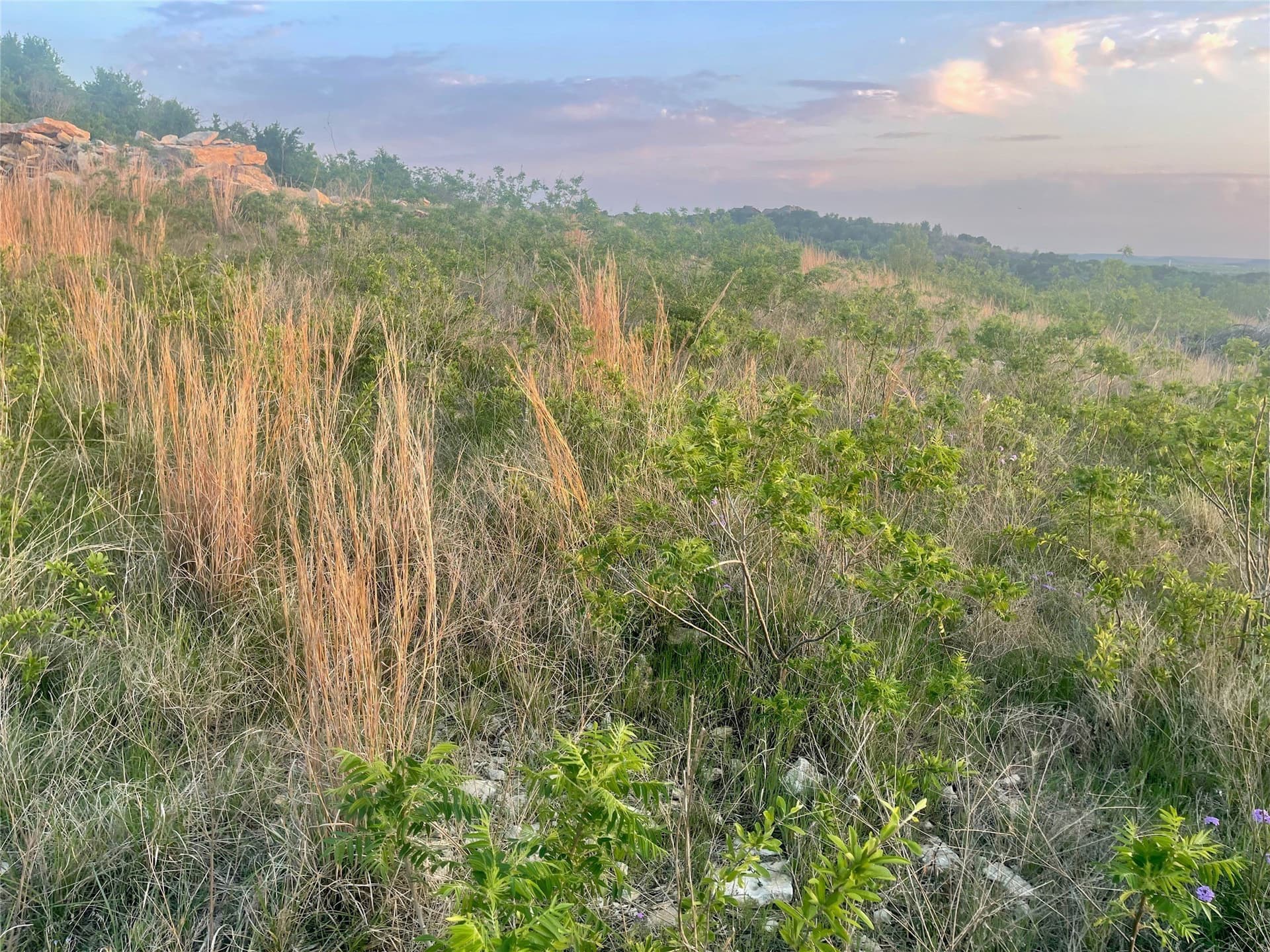 2.02 acres in Palo Pinto County - photo 11