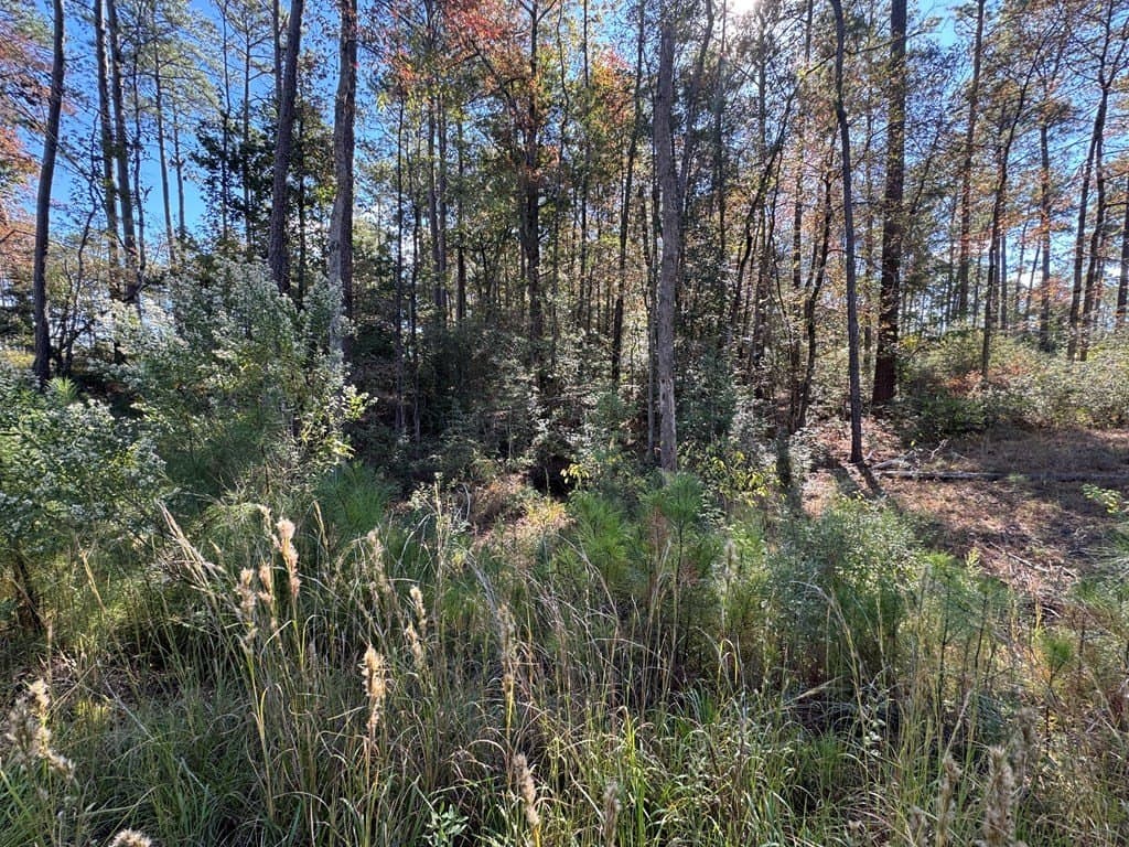 1.03 acres in Texas County featured view