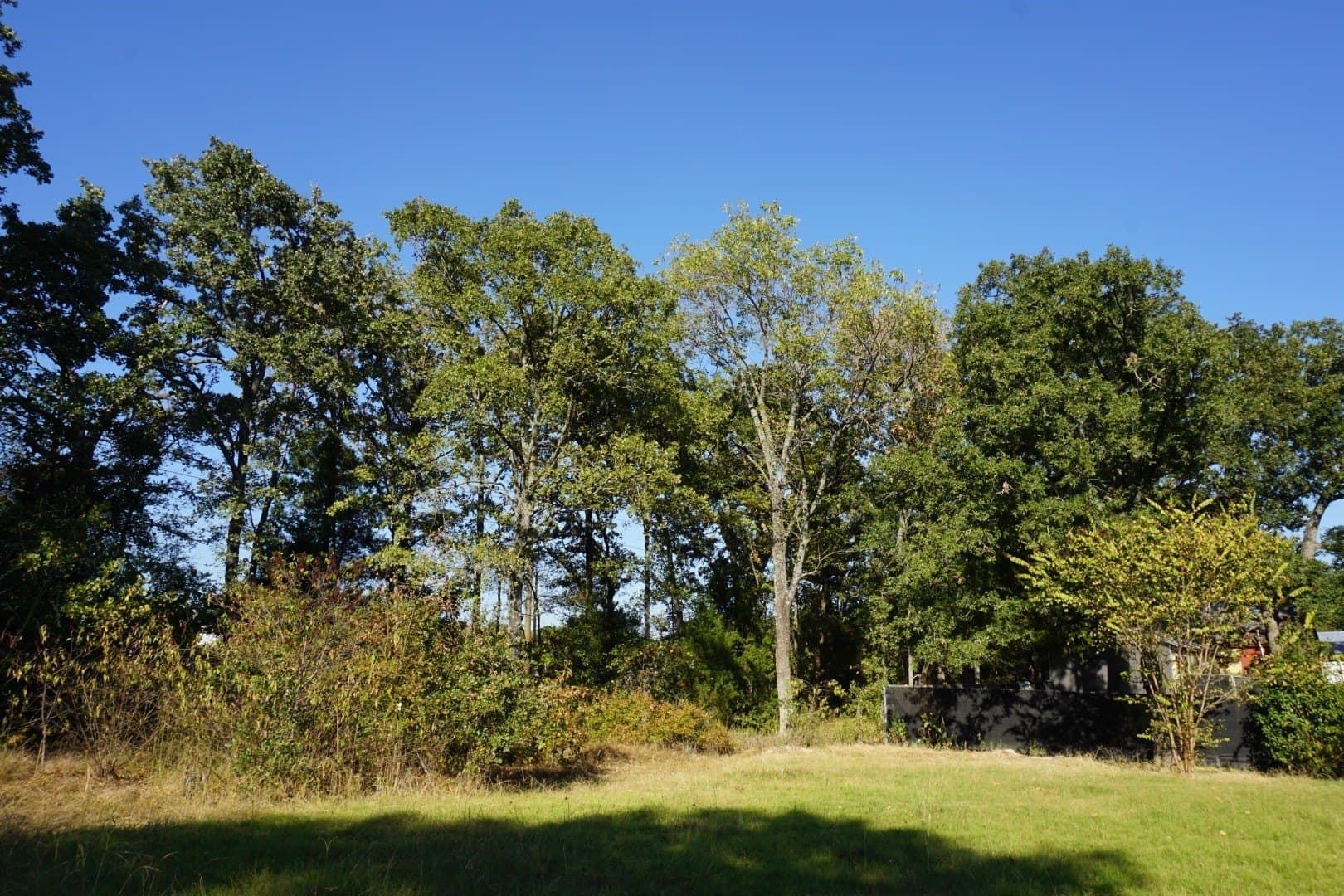0.25 acres in Henderson County - photo 16