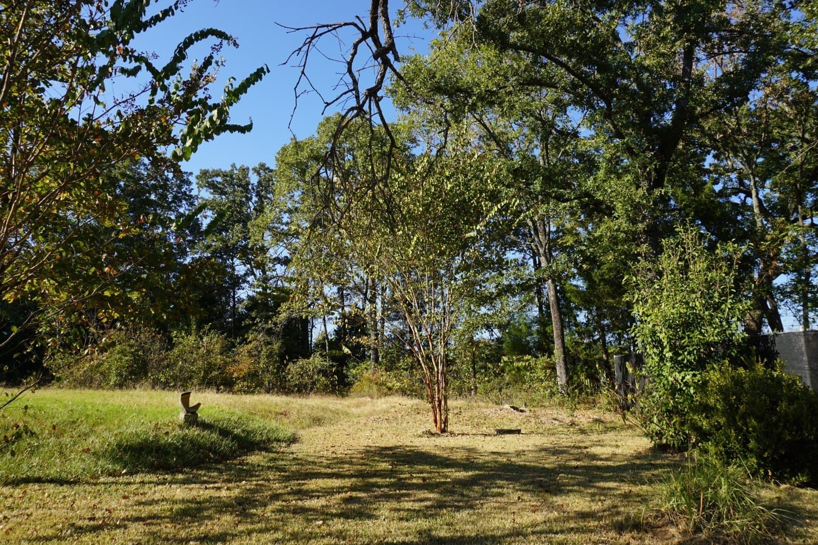 0.25 acres in Henderson County - photo 10